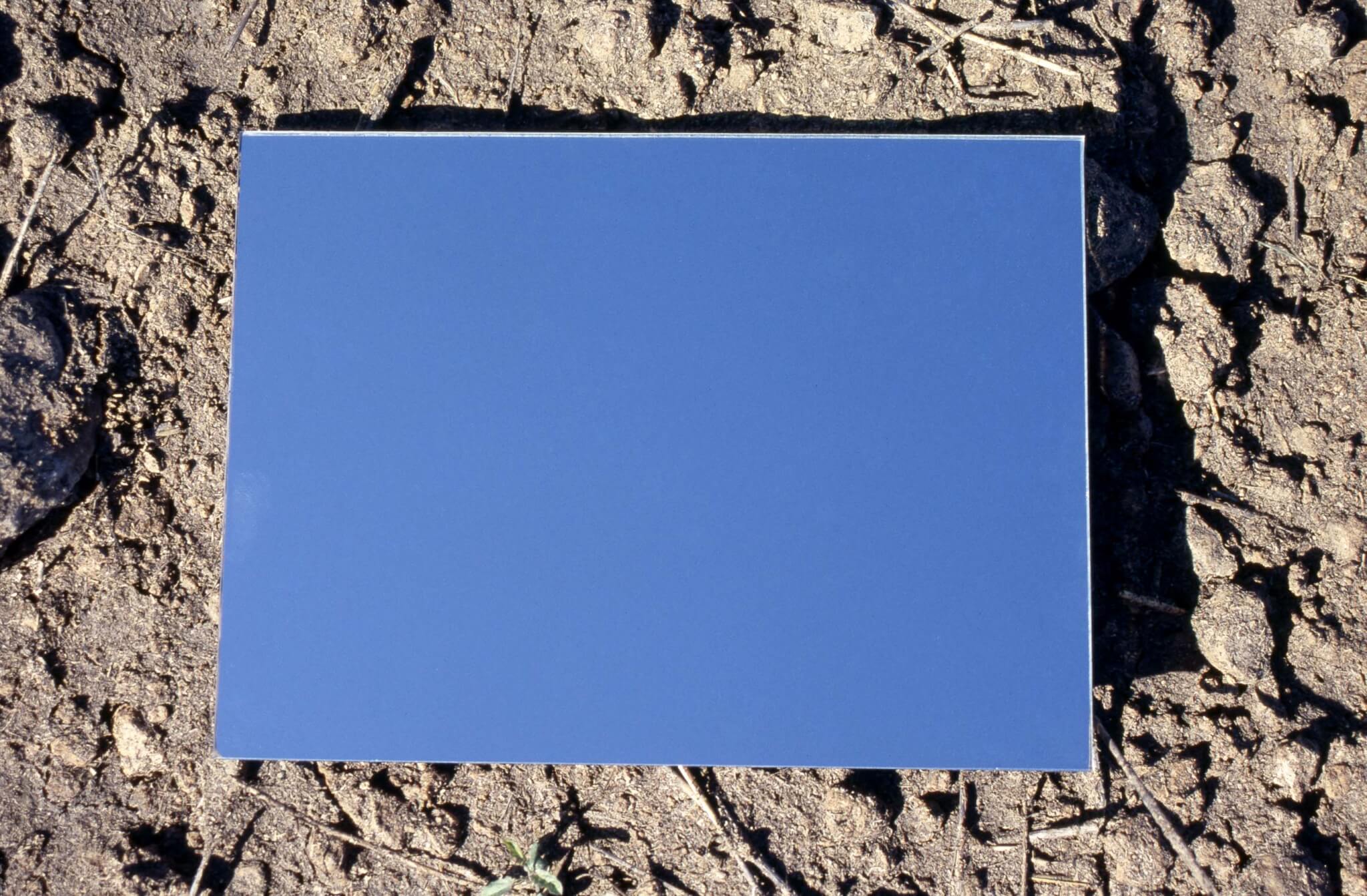 Ferran Garcia Sevilla