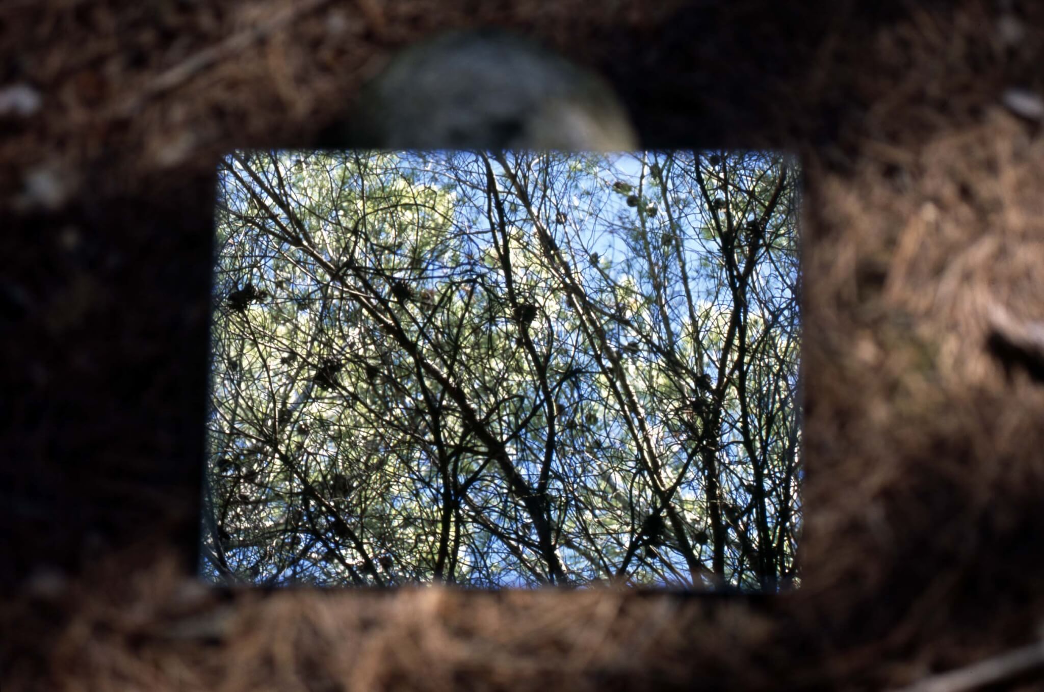 Ferran Garcia Sevilla