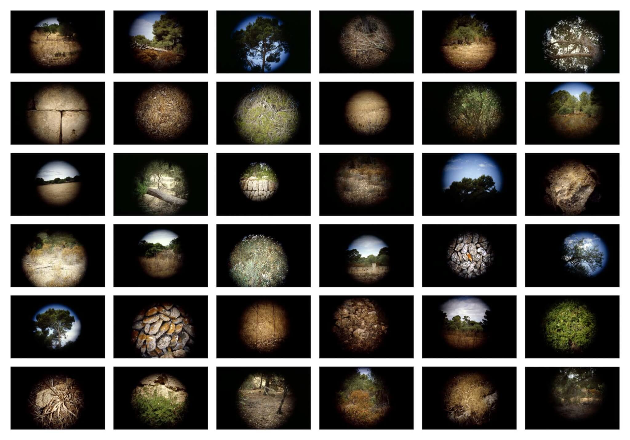 Ferran Garcia Sevilla