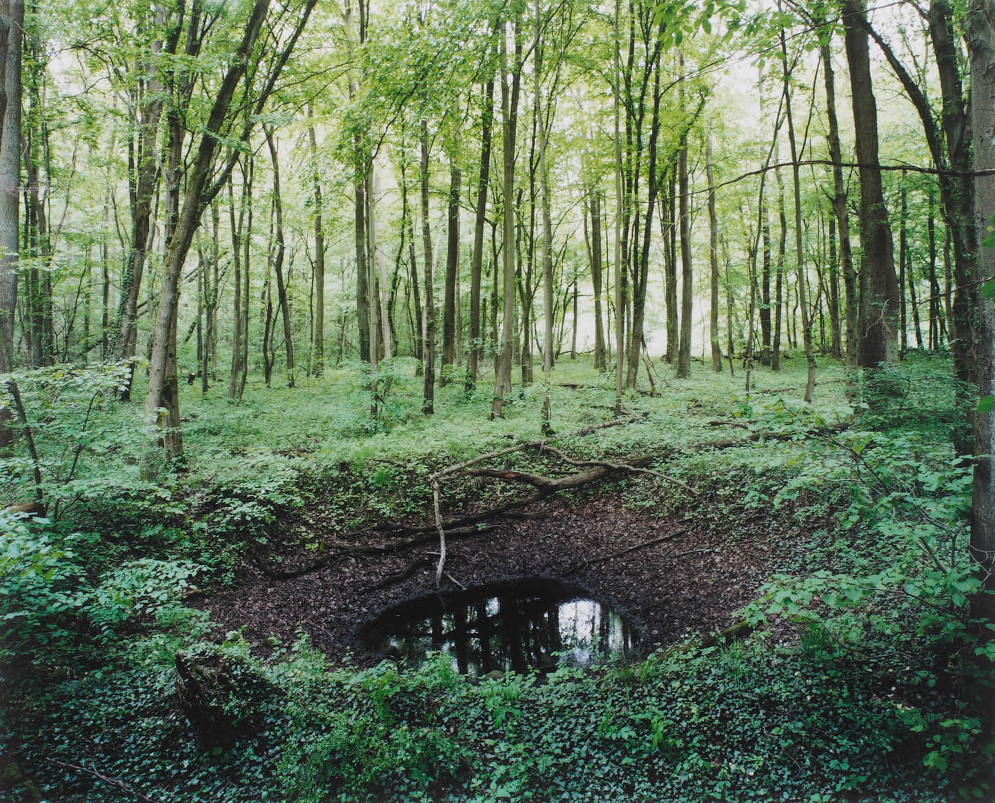 Henning Rogge