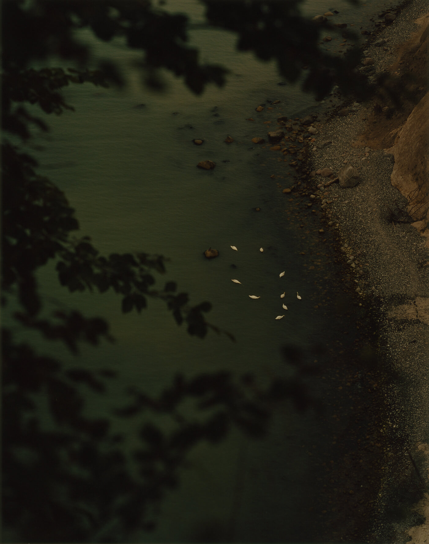 Arno Schidlowski