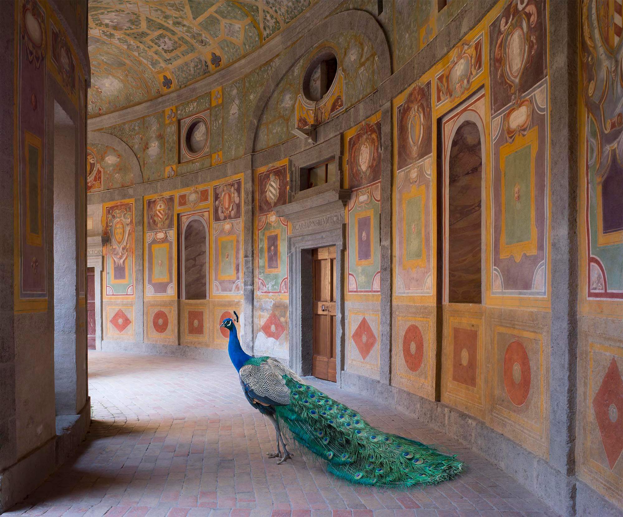 Karen Knorr