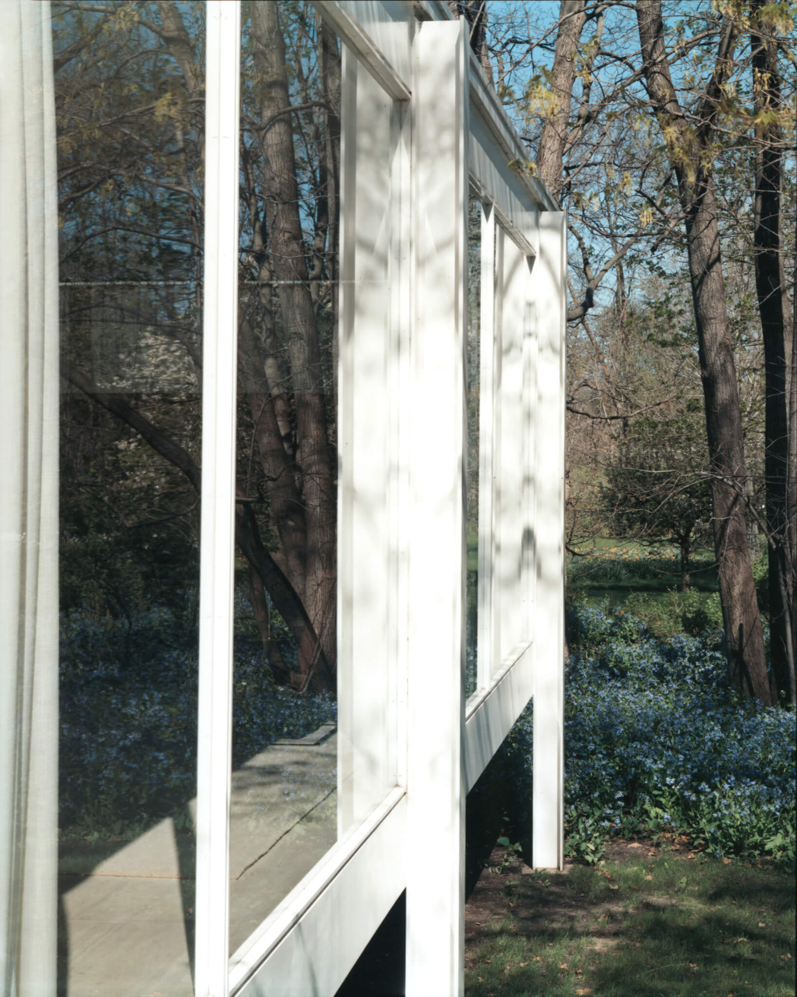 Guido Guidi