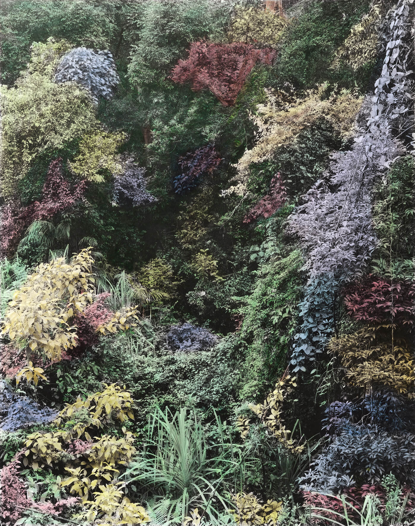 Vasantha Yogananthan