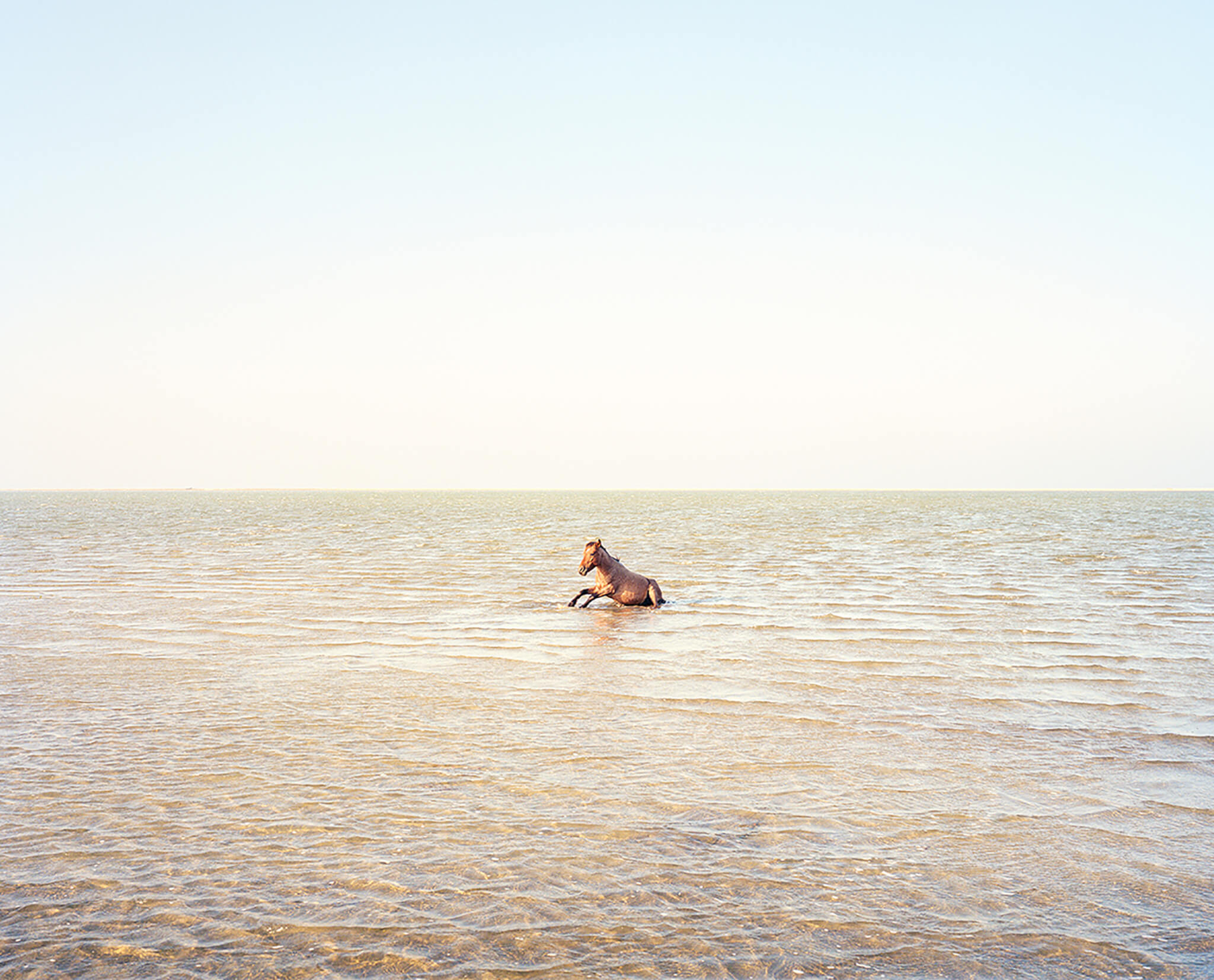 Vasantha Yogananthan