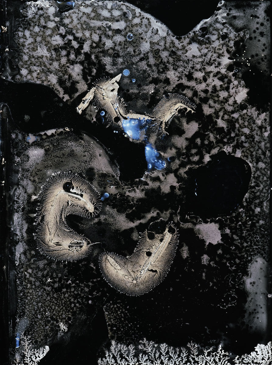 Mike Koerner