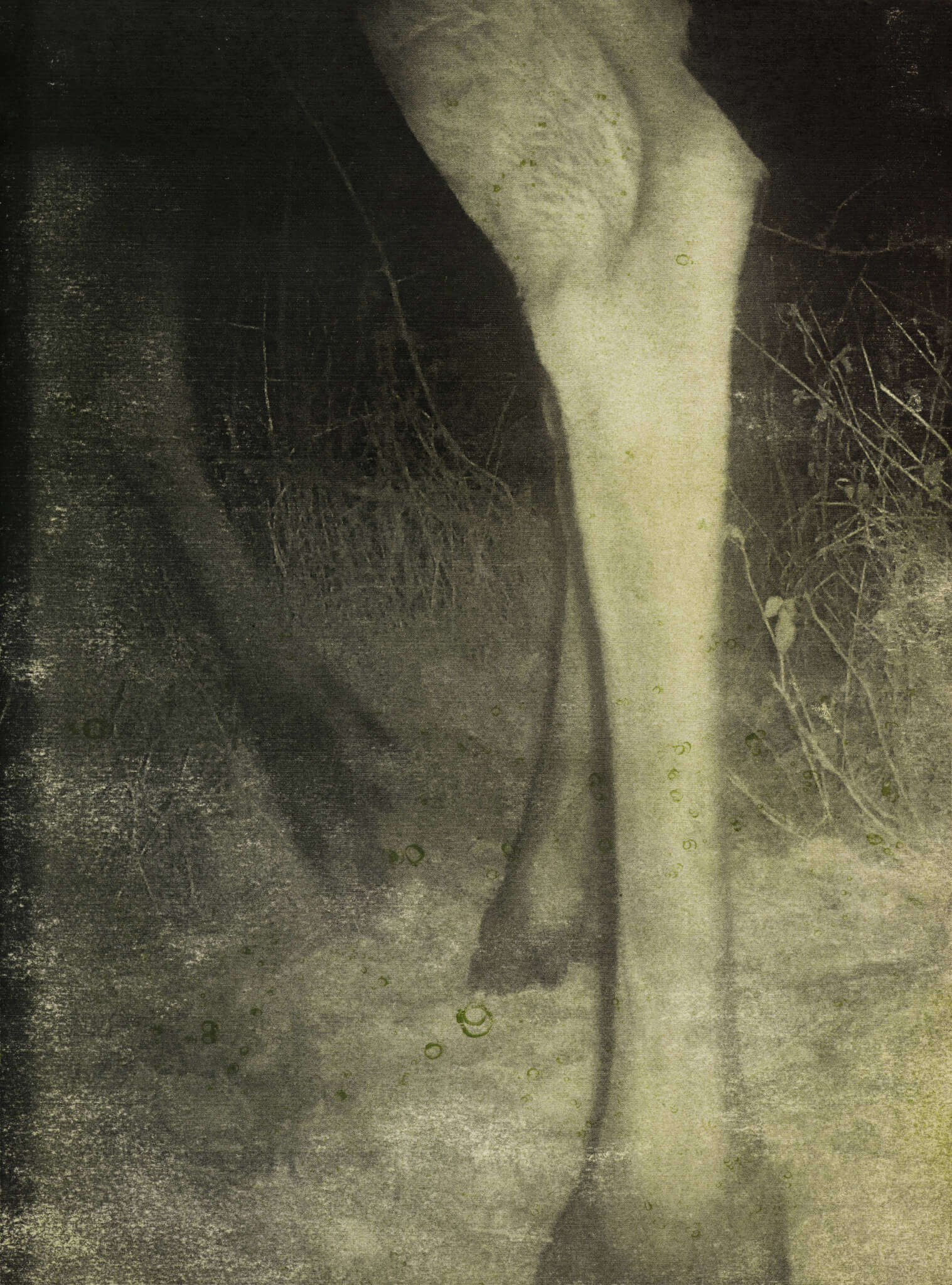 Stephen Gill