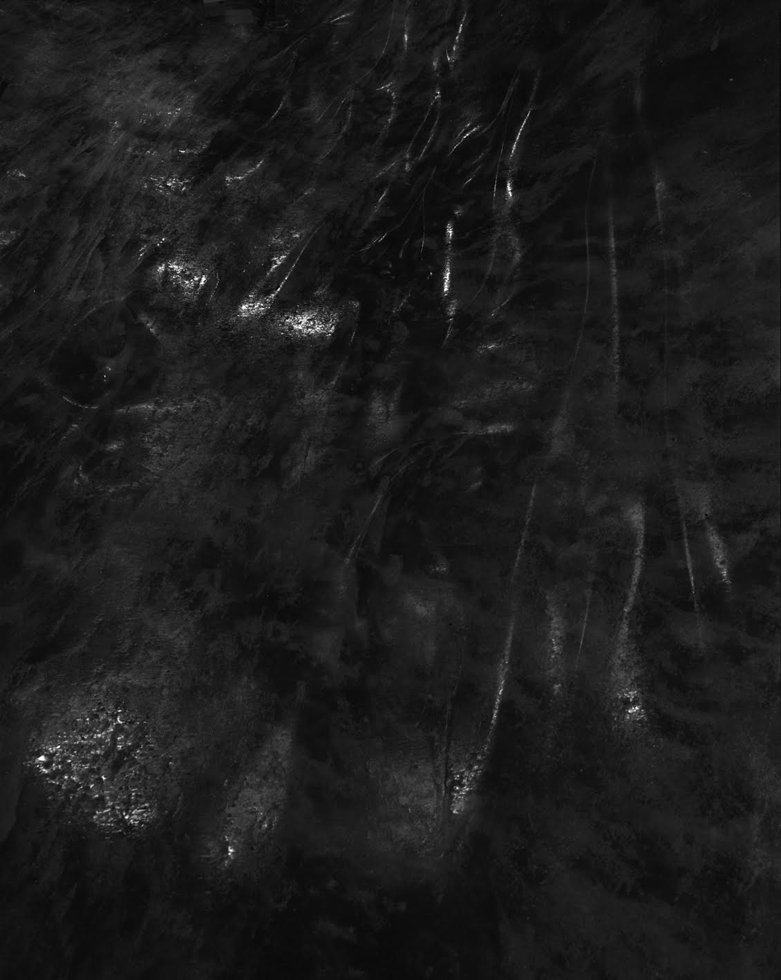 Awoiska van der Molen  