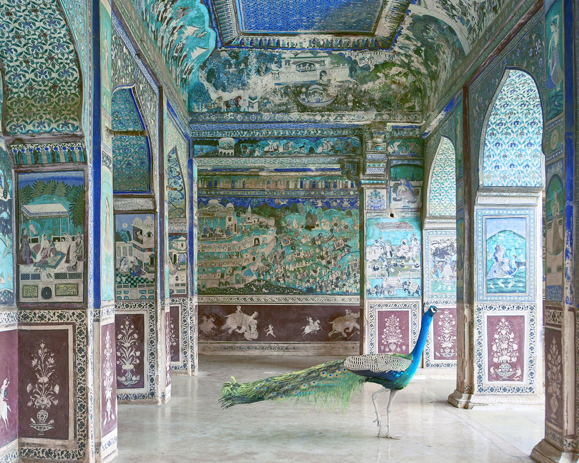 Karen Knorr