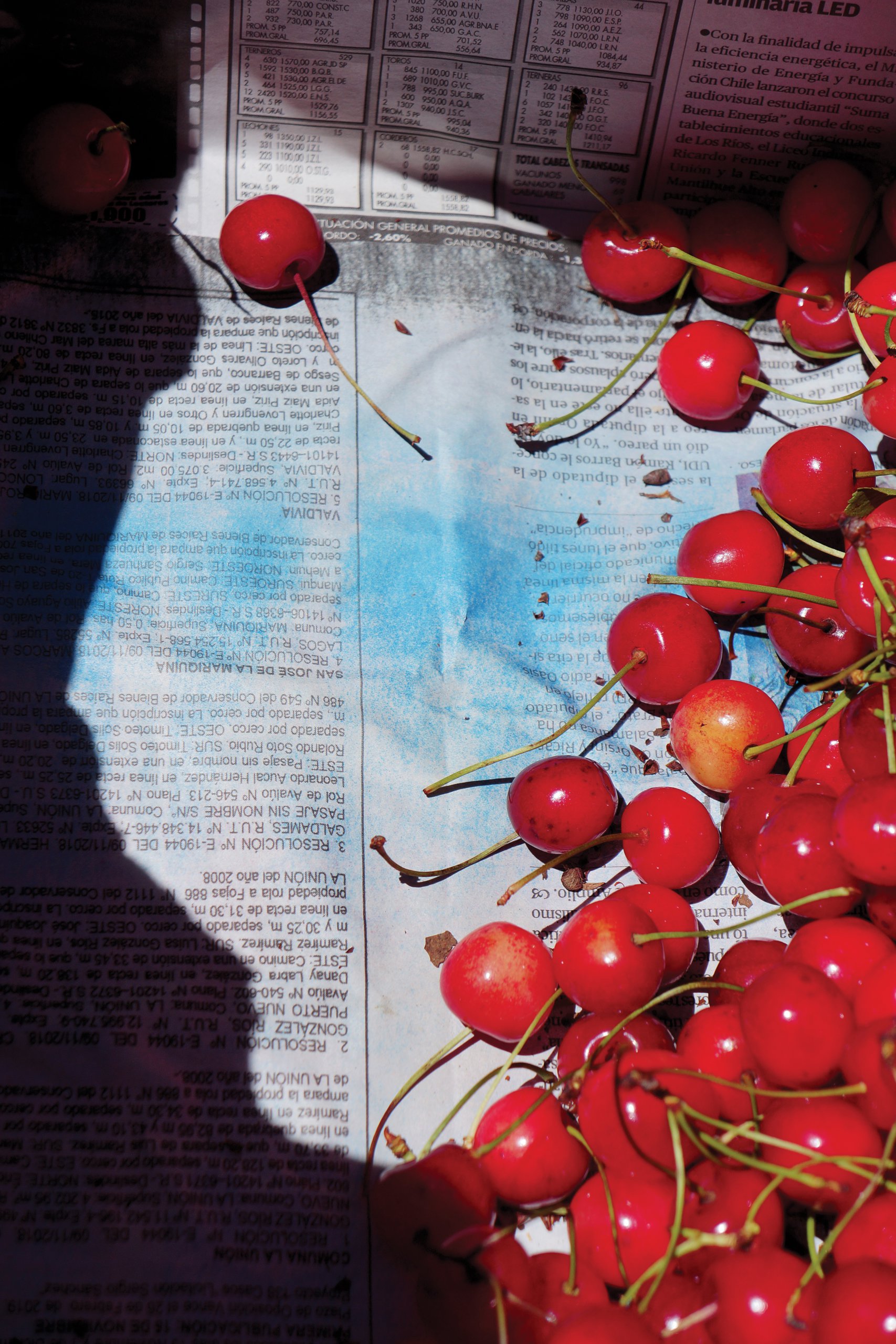Jessica Backhaus