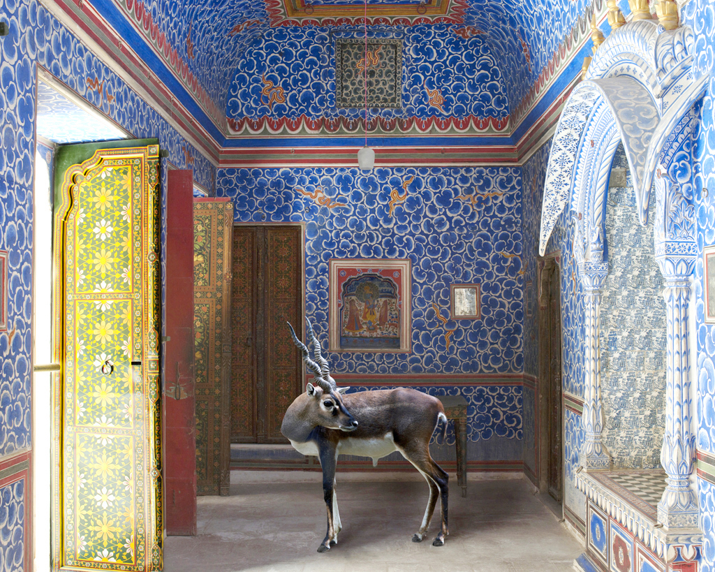 Karen Knorr