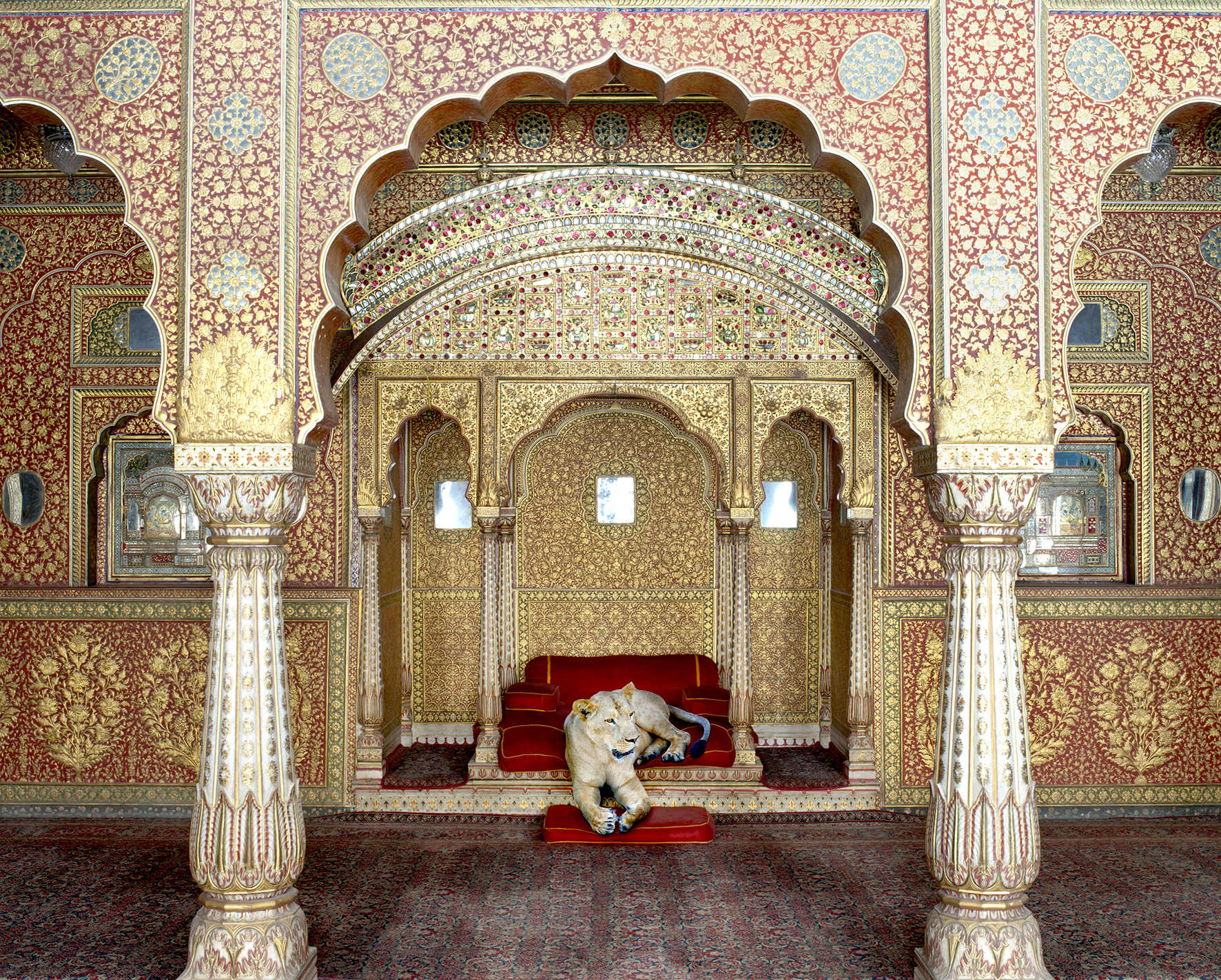 Karen Knorr