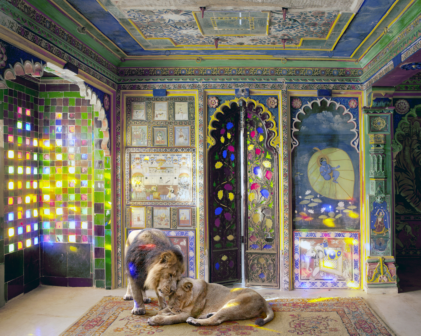 Karen Knorr