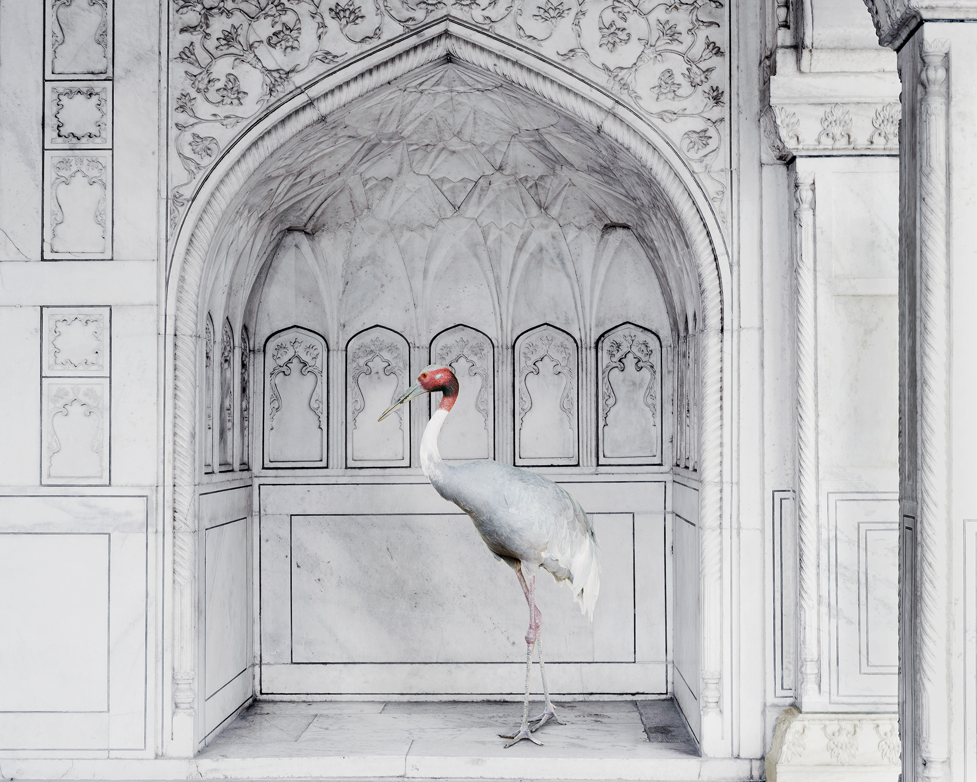 Karen Knorr