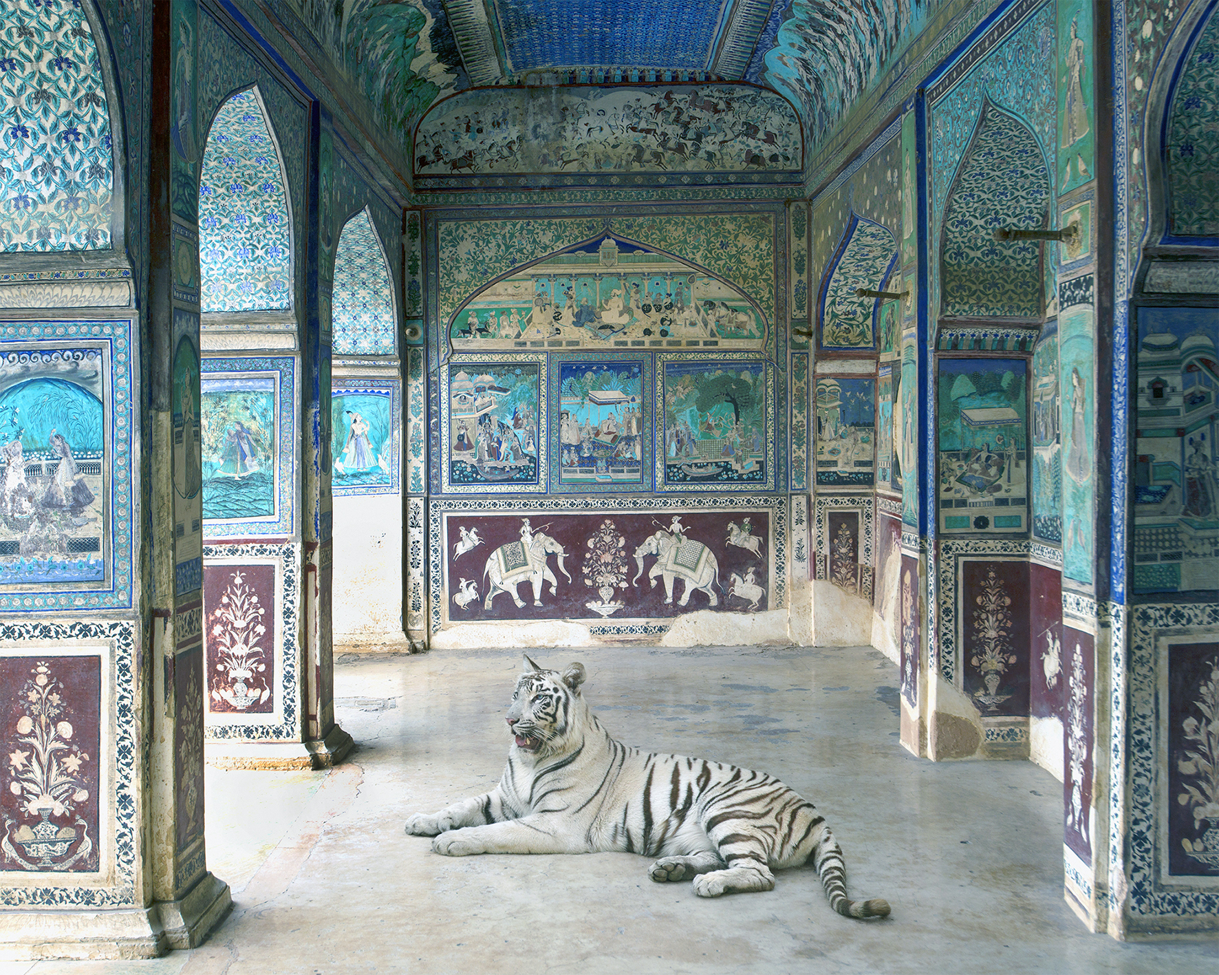 Karen Knorr