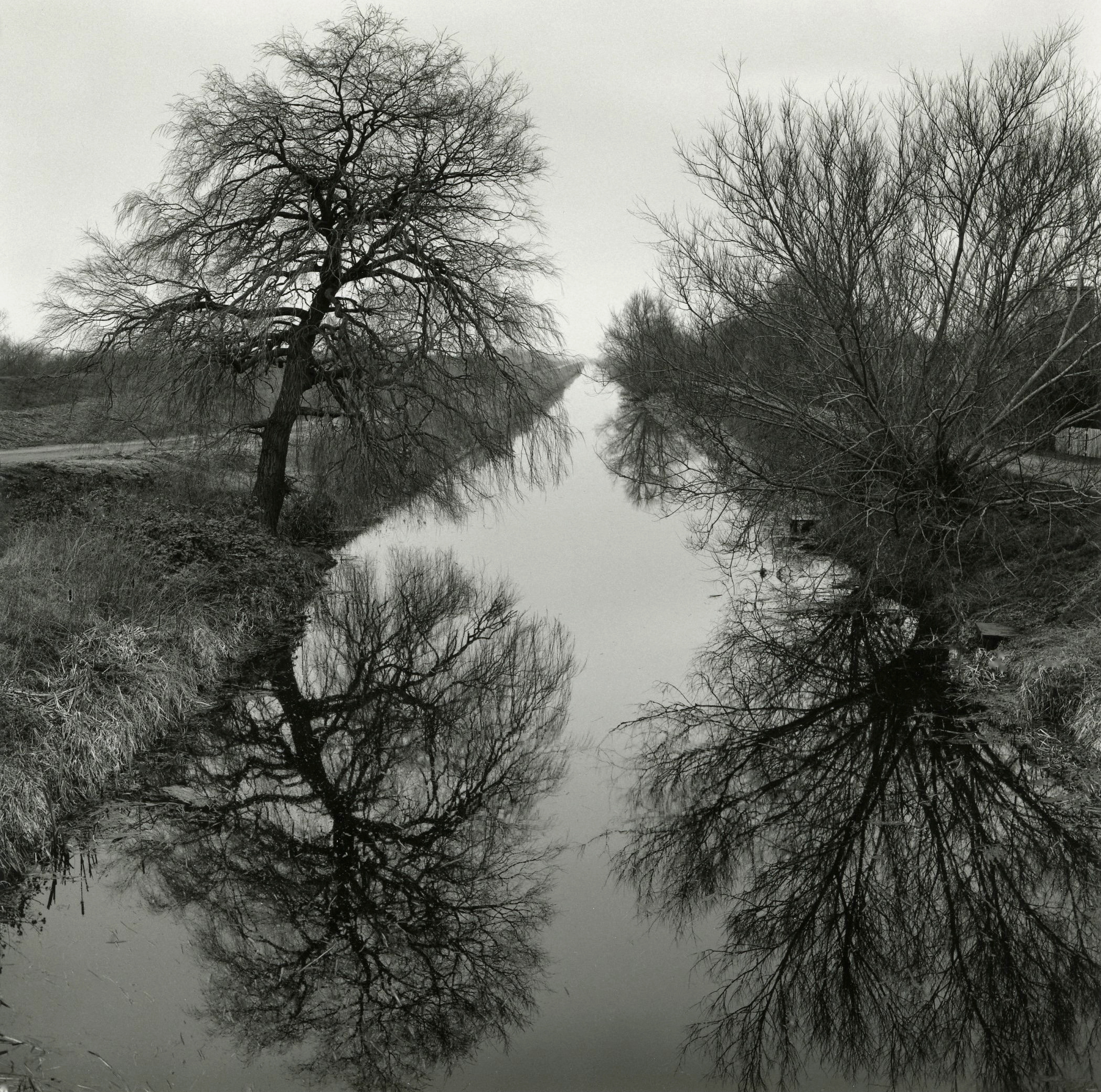 Paul Hart