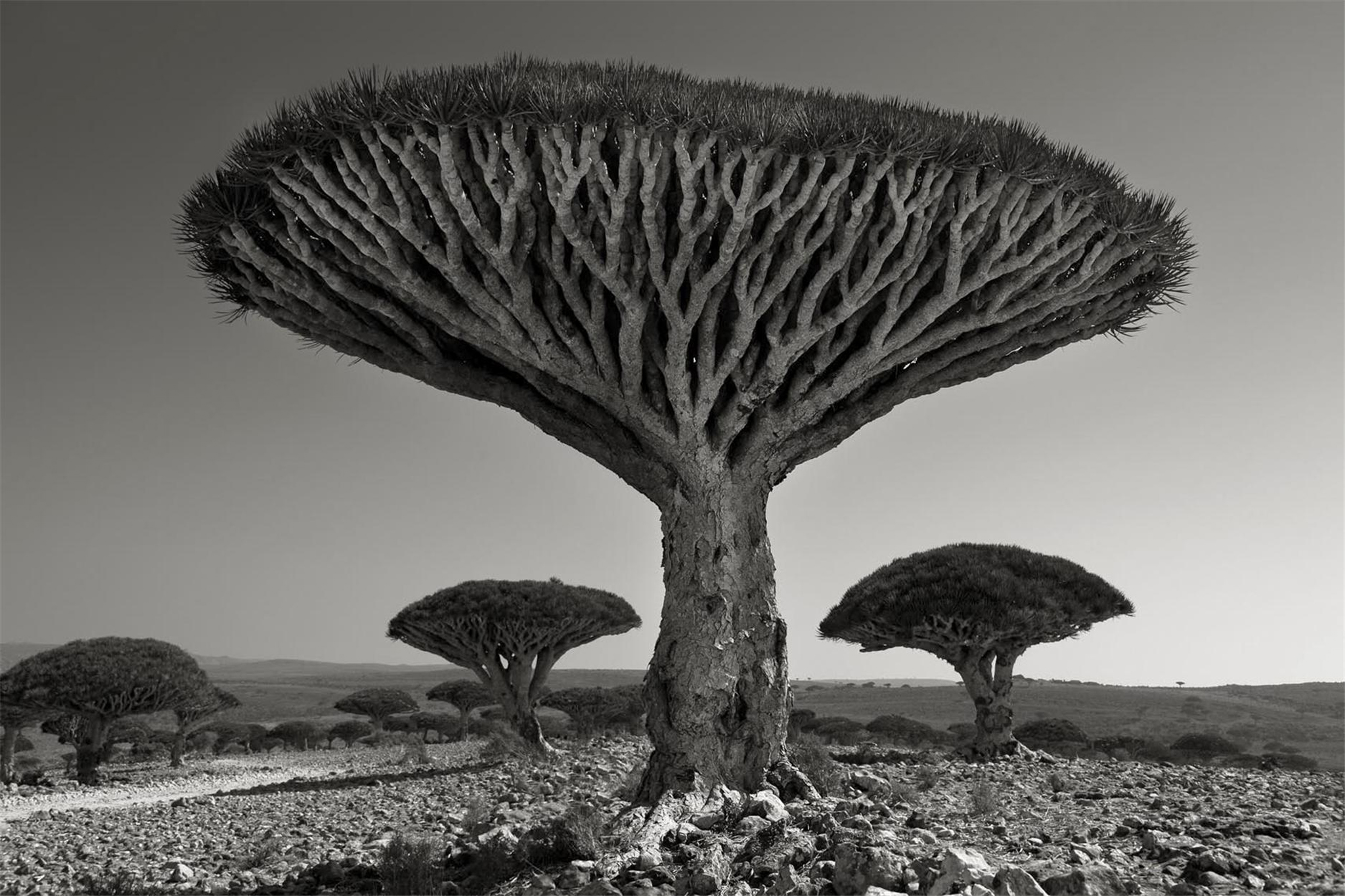 Beth Moon