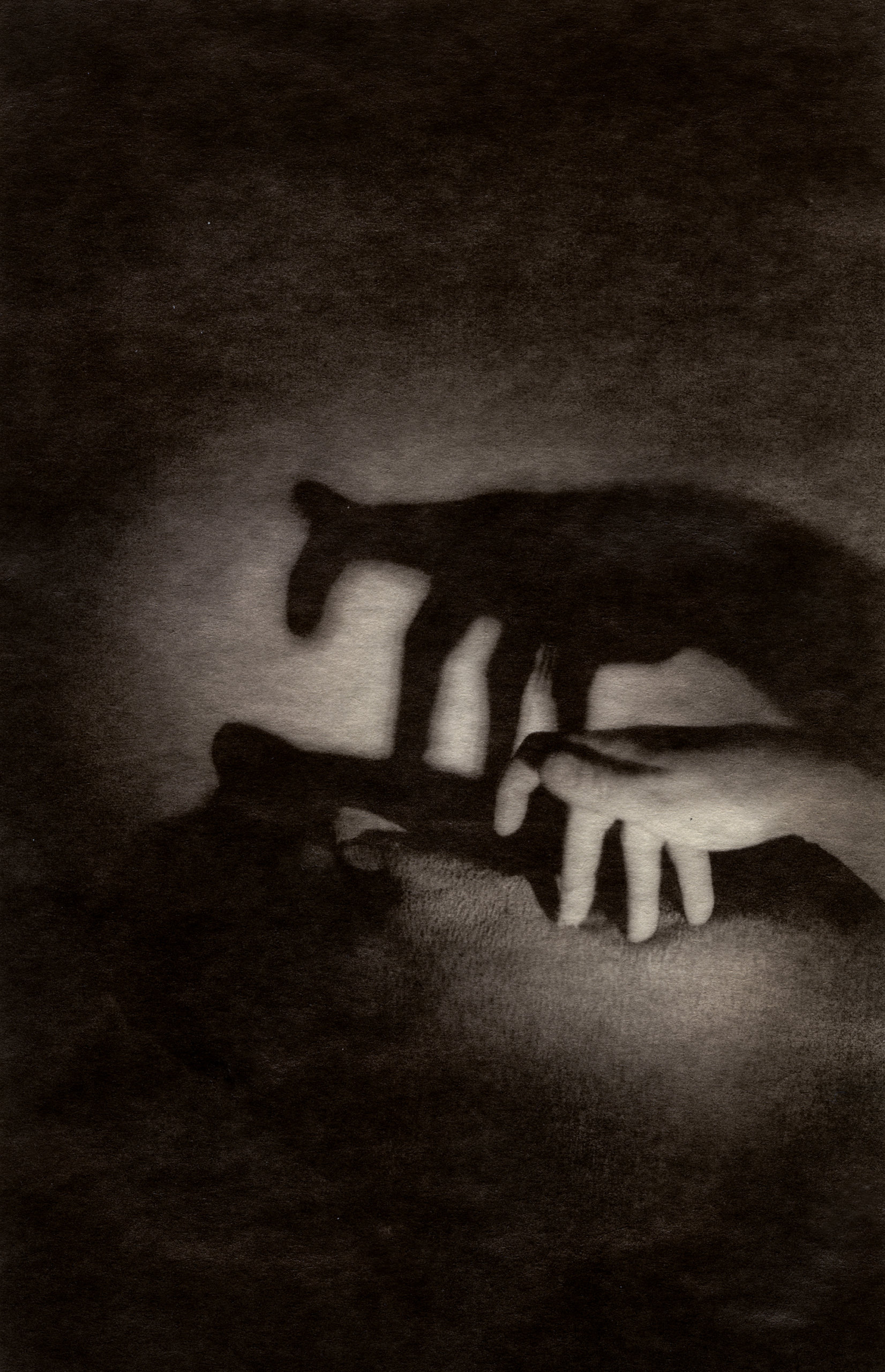 Jennifer Schlesinger