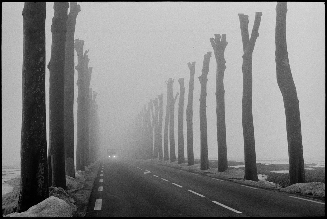 Martine Franck 