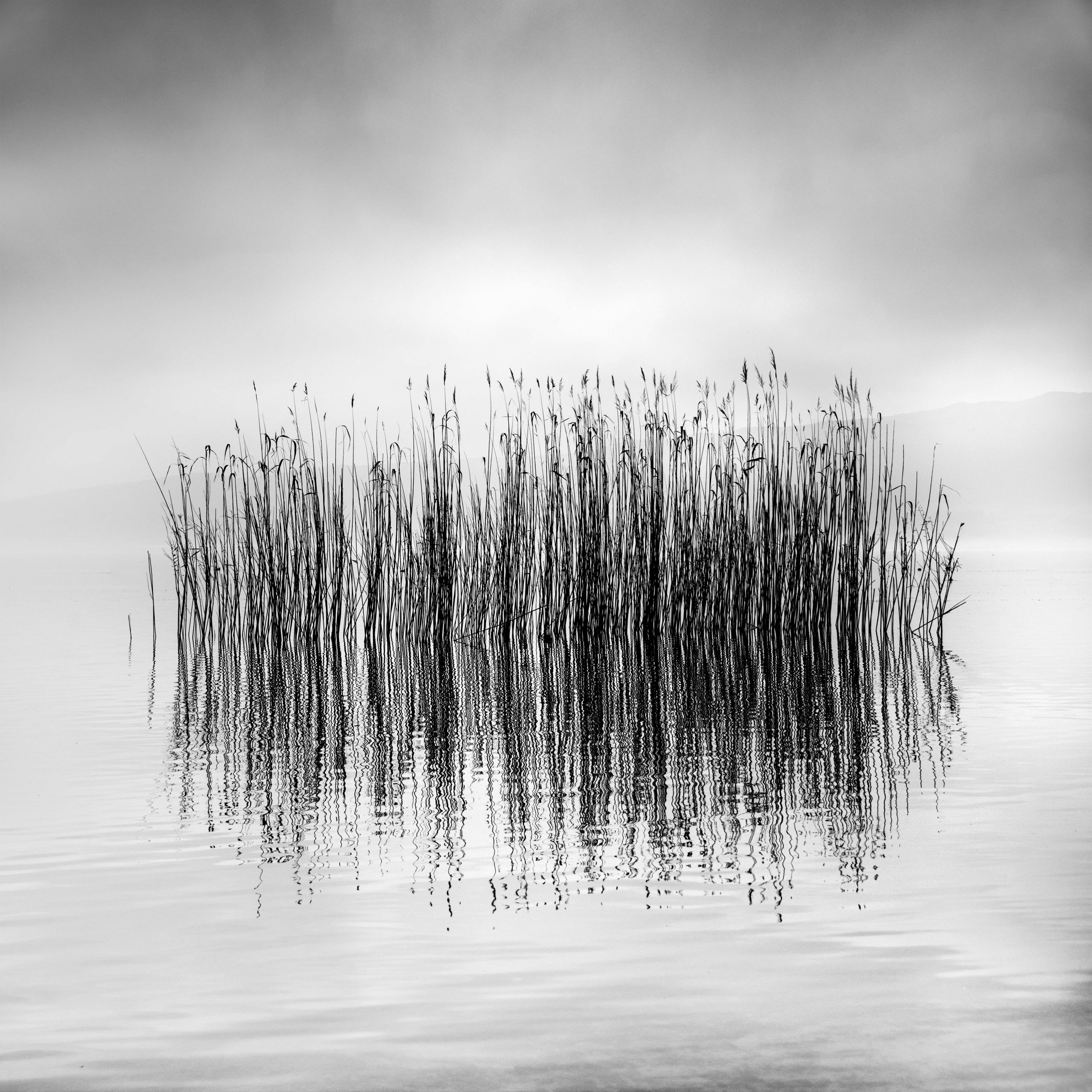 George Digalakis