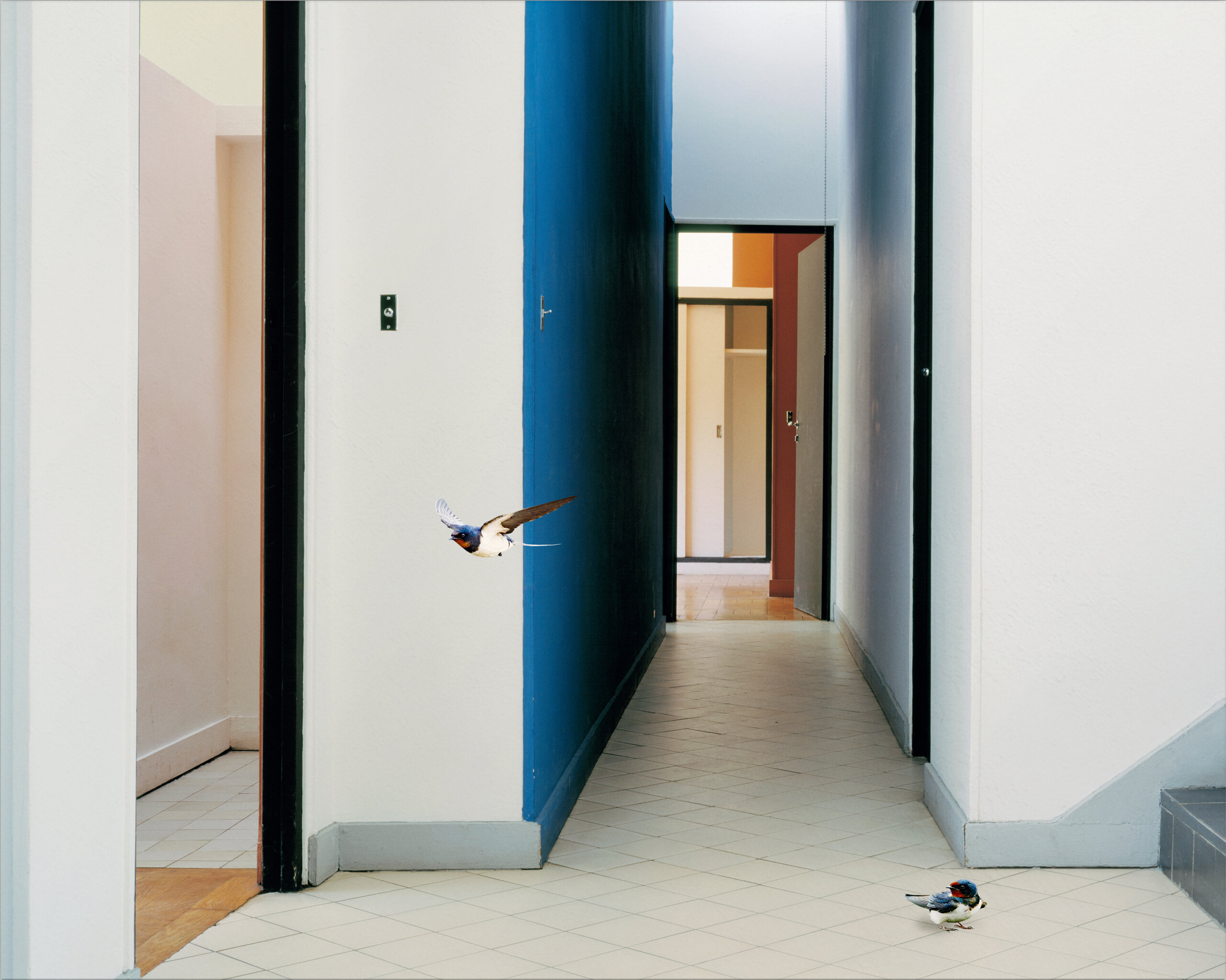 Karen Knorr