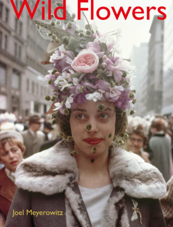 Joel Meyerowitz, 'Wild Flowers'