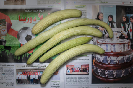 The Poverty Line Chow and Lin Lars Müller Publishing