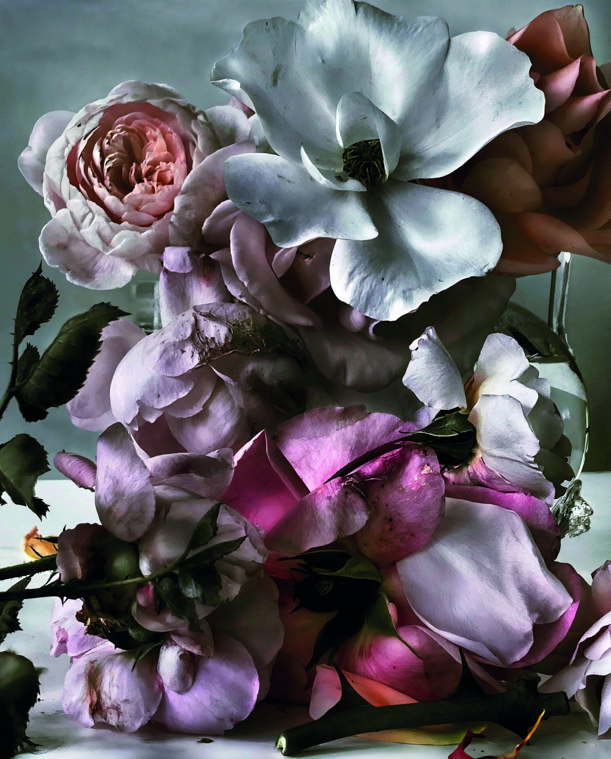 Nick Knight 