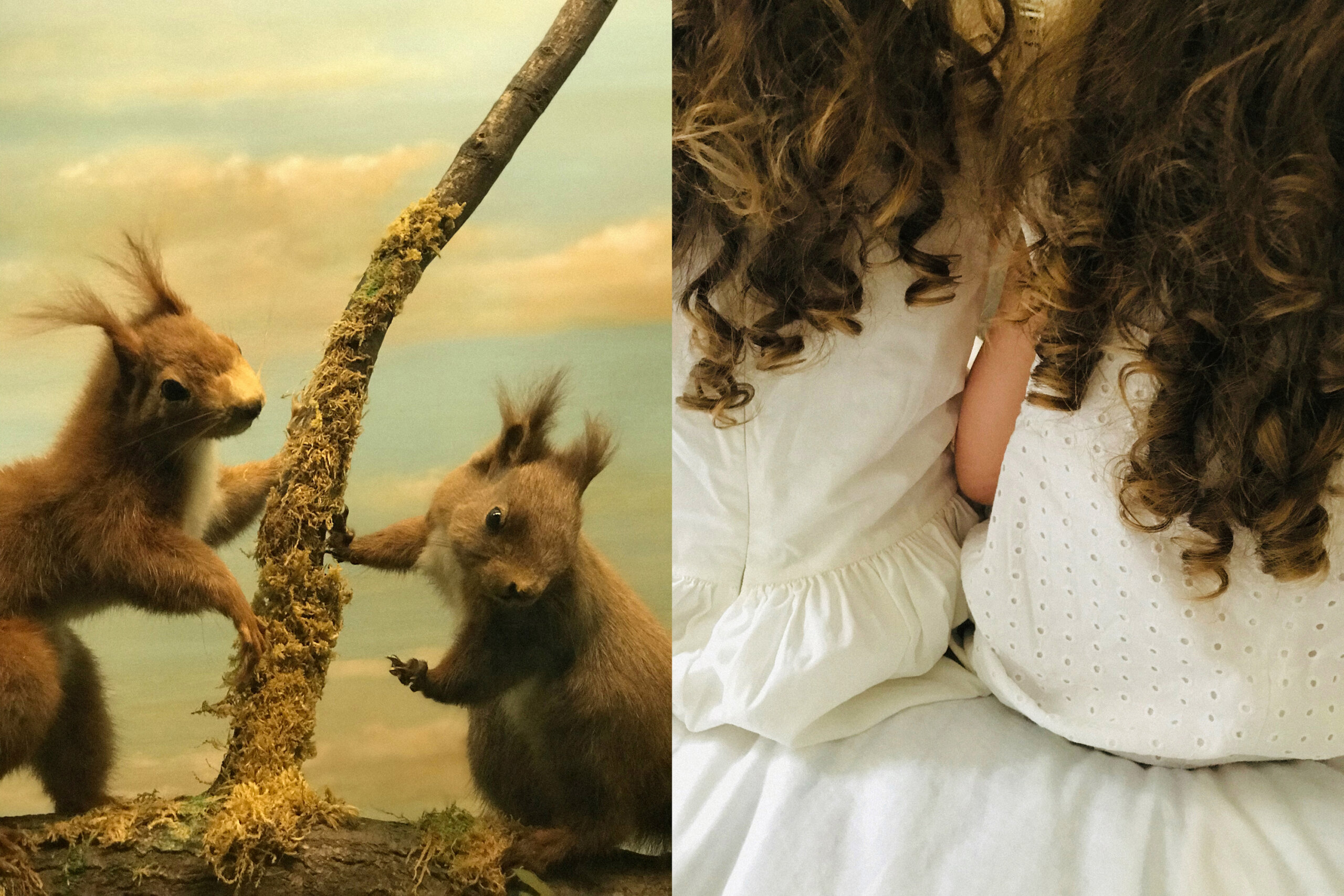 Cristina Dias de Magalhães