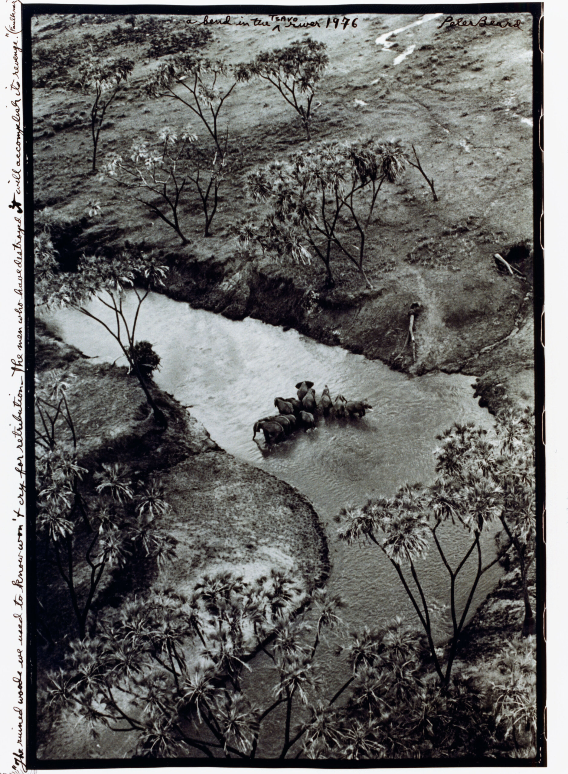 Peter Beard