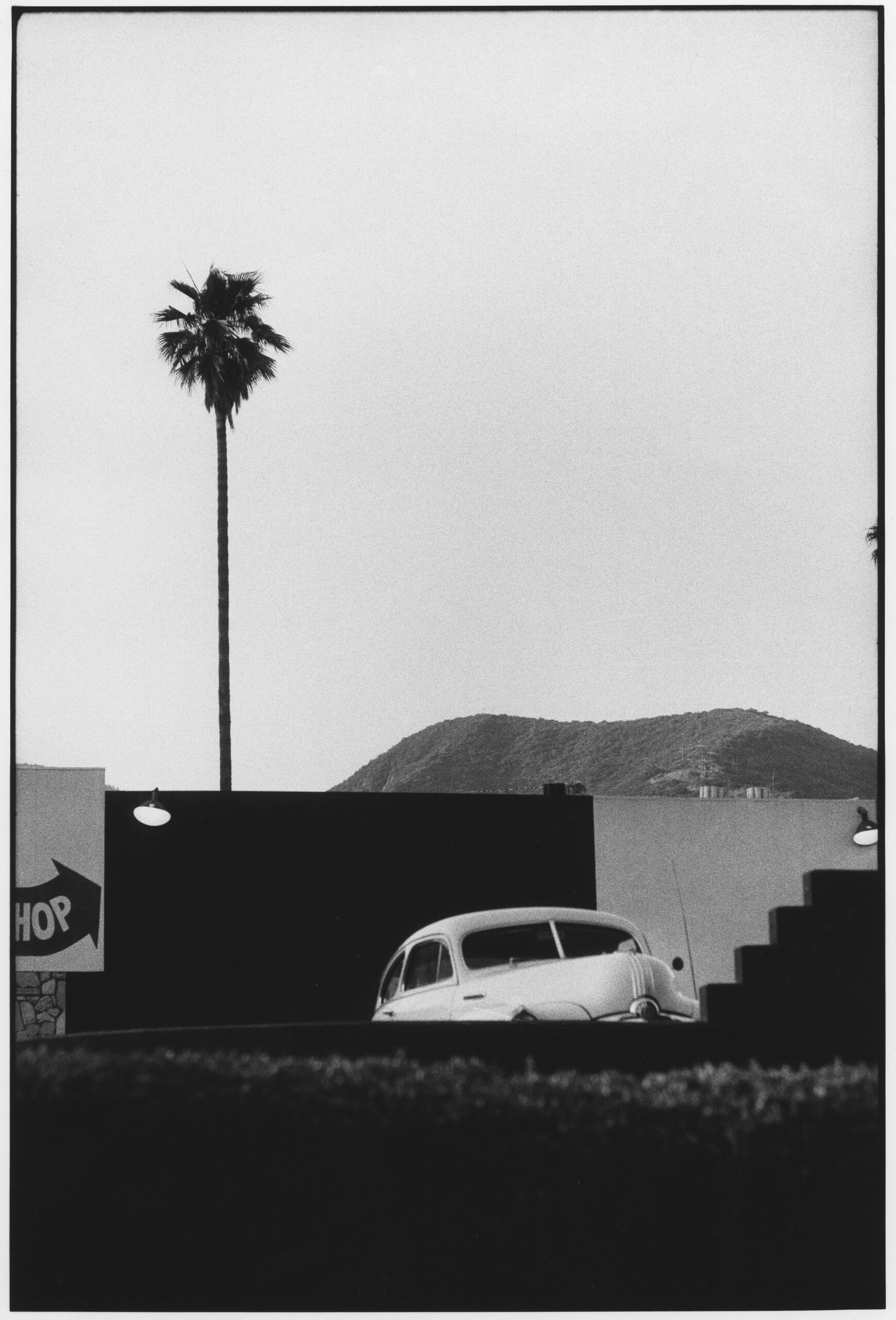 Elliot Erwitt