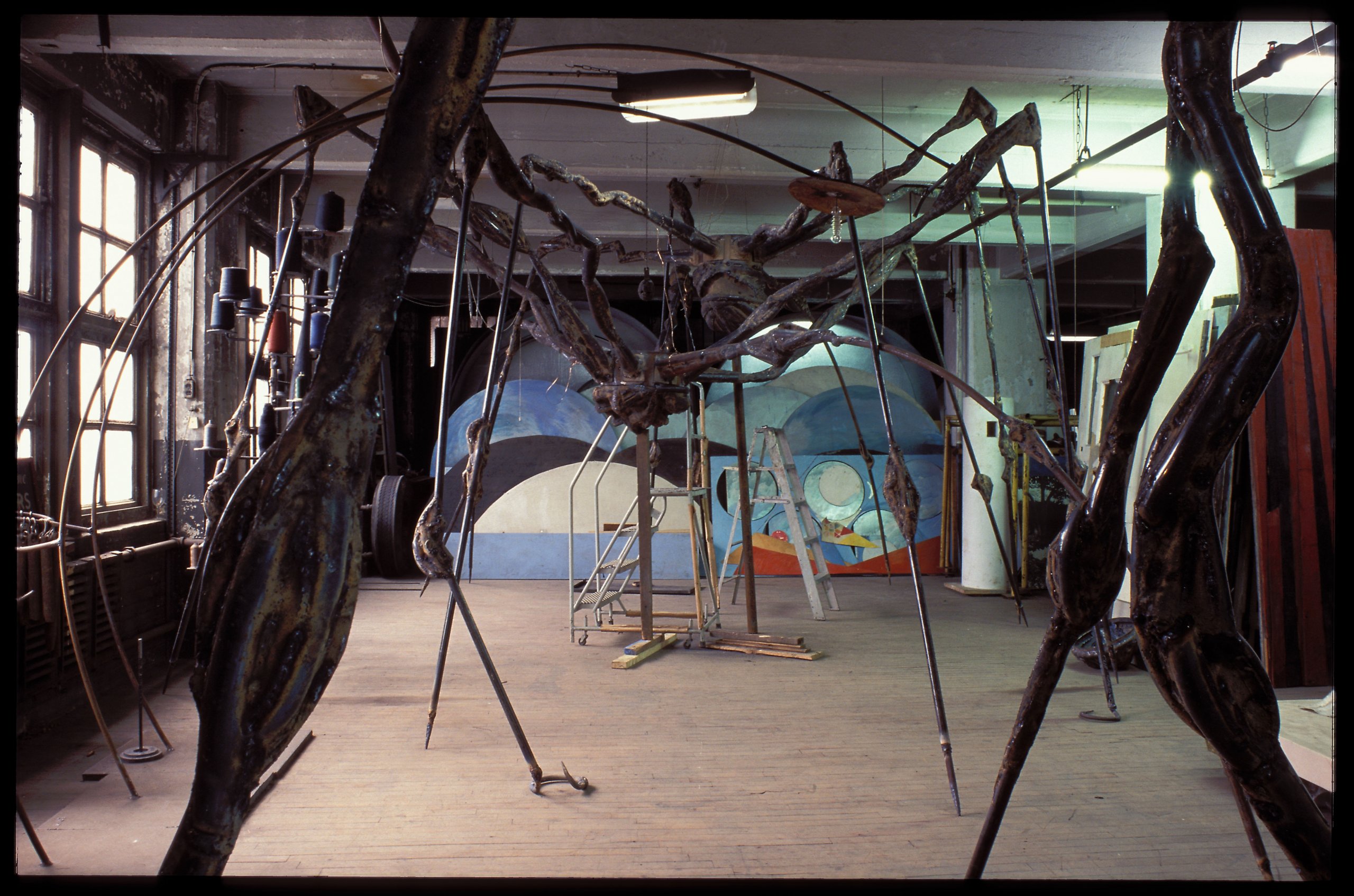 Jean-François Jaussaud