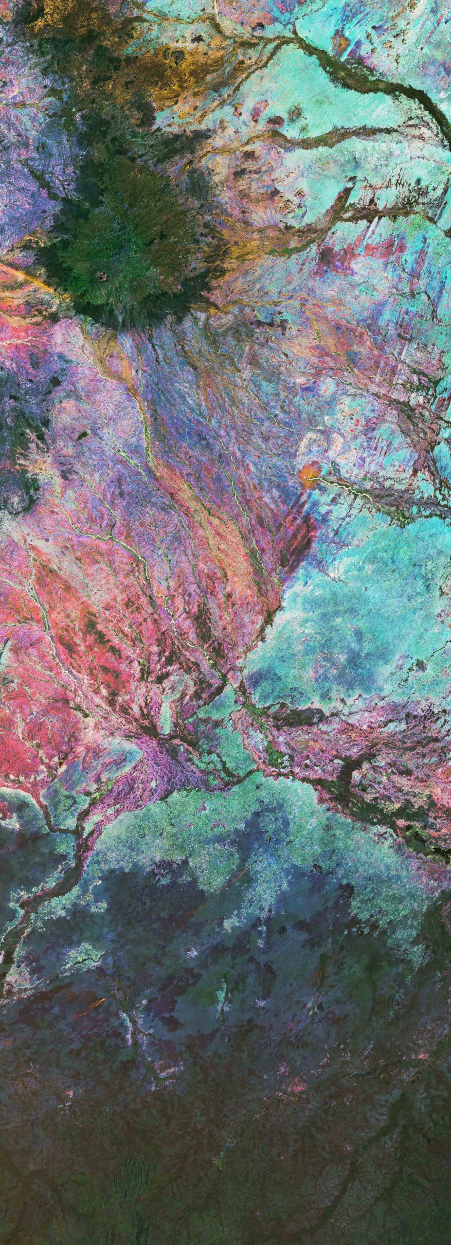 Richard John Seymour