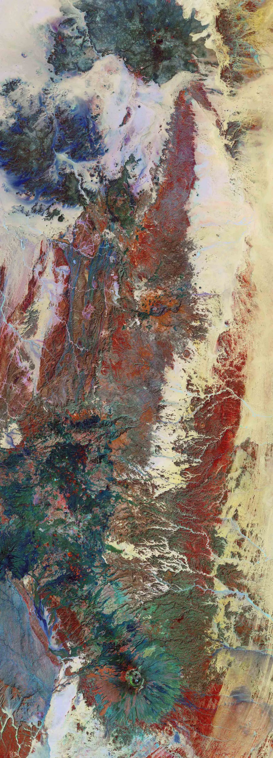 Richard John Seymour