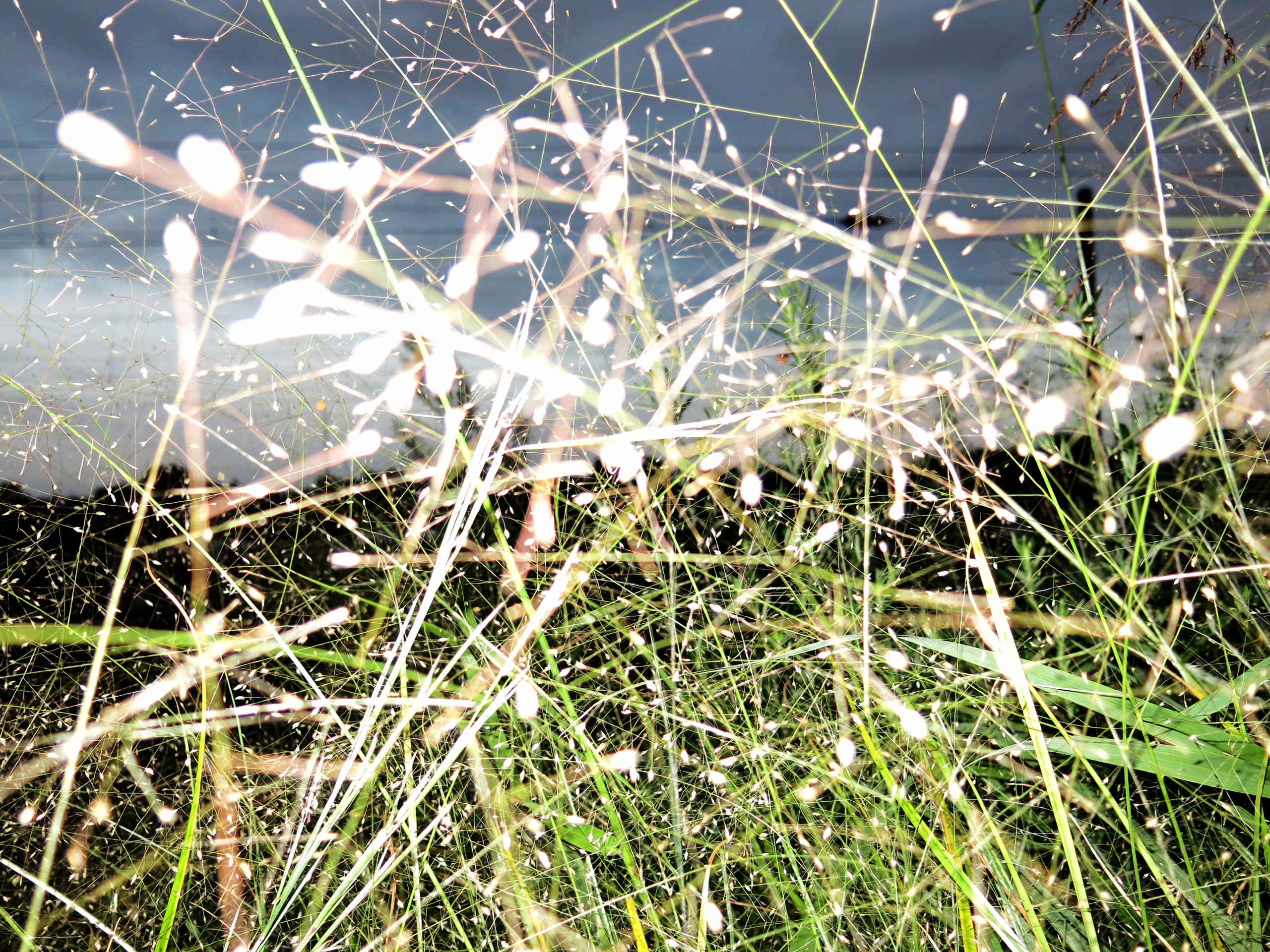 Mohammadreza Mirzaei