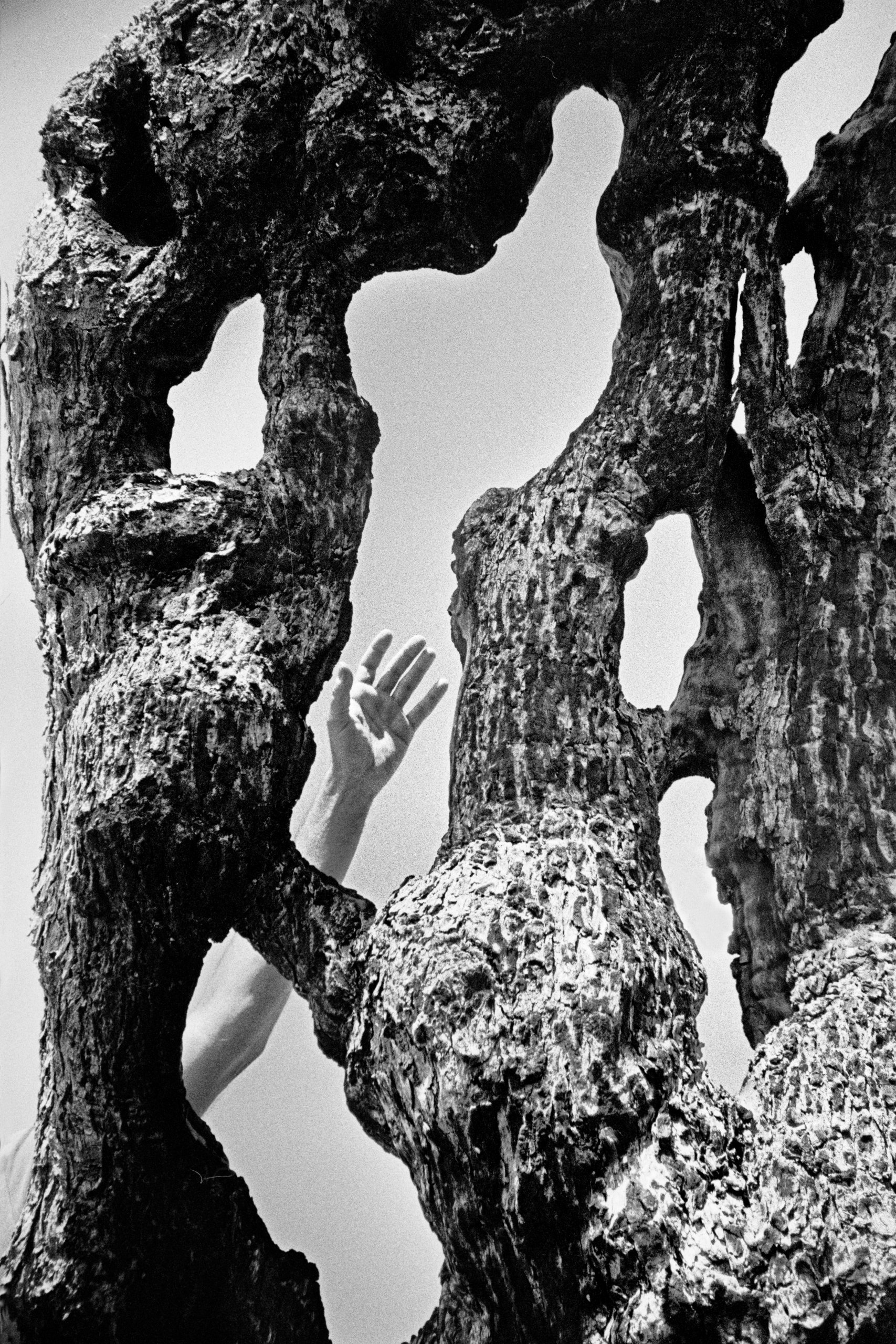 Jean-Marc Caimi & Valentina Piccinni