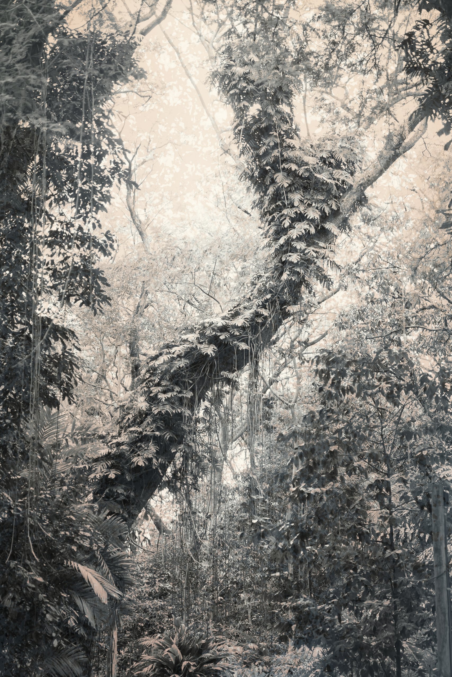 Itamar Freed and Kristina Chan