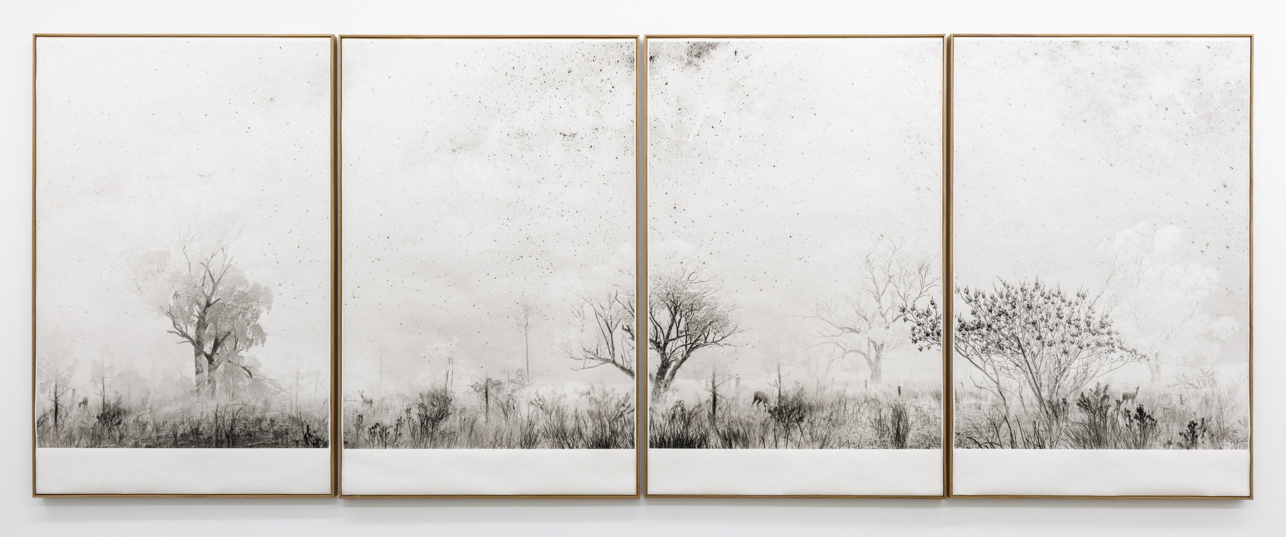 Itamar Freed and Kristina Chan