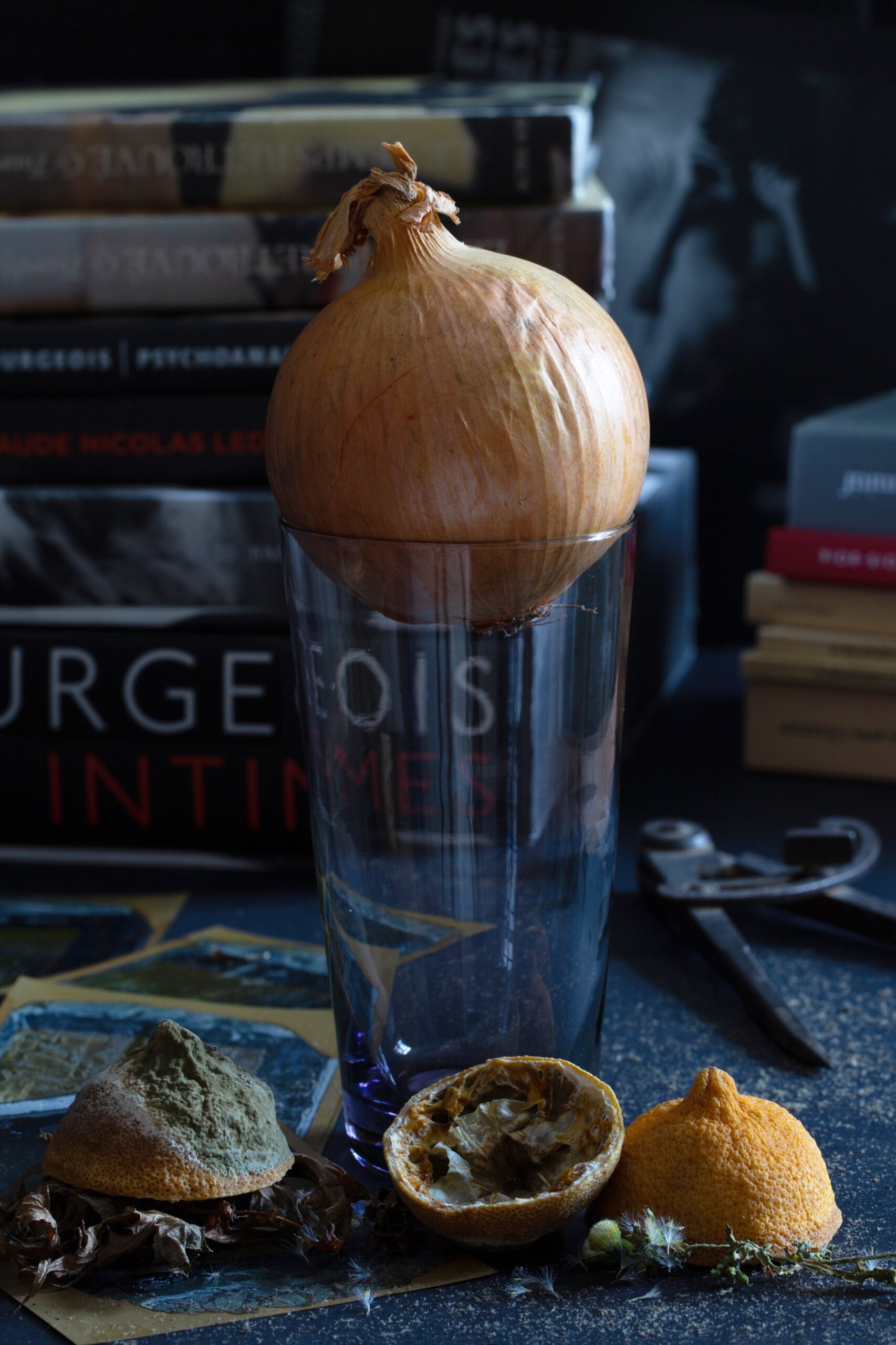 Jean-François Jaussaud