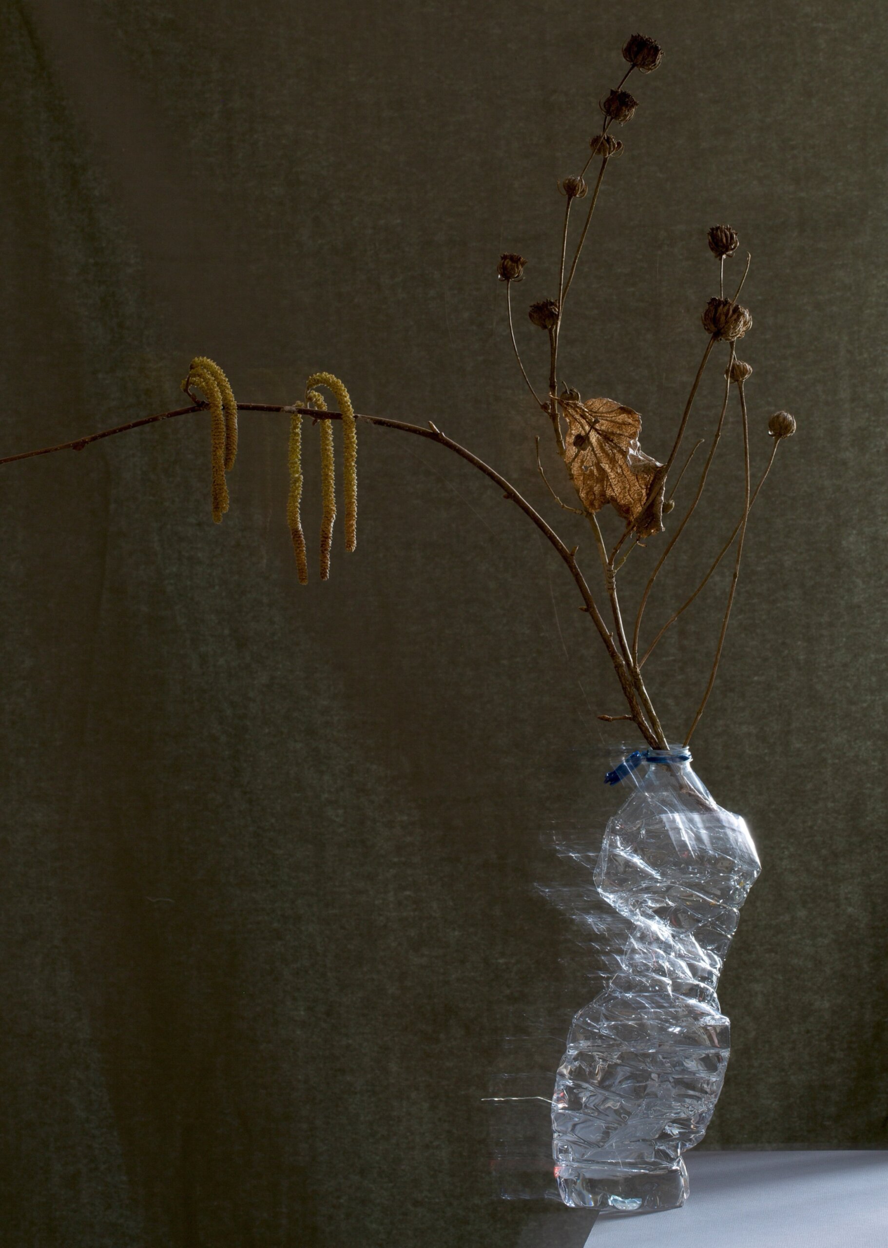 Jean-François Jaussaud