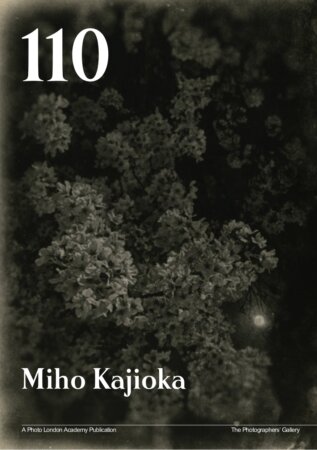 Miho Kajioka
