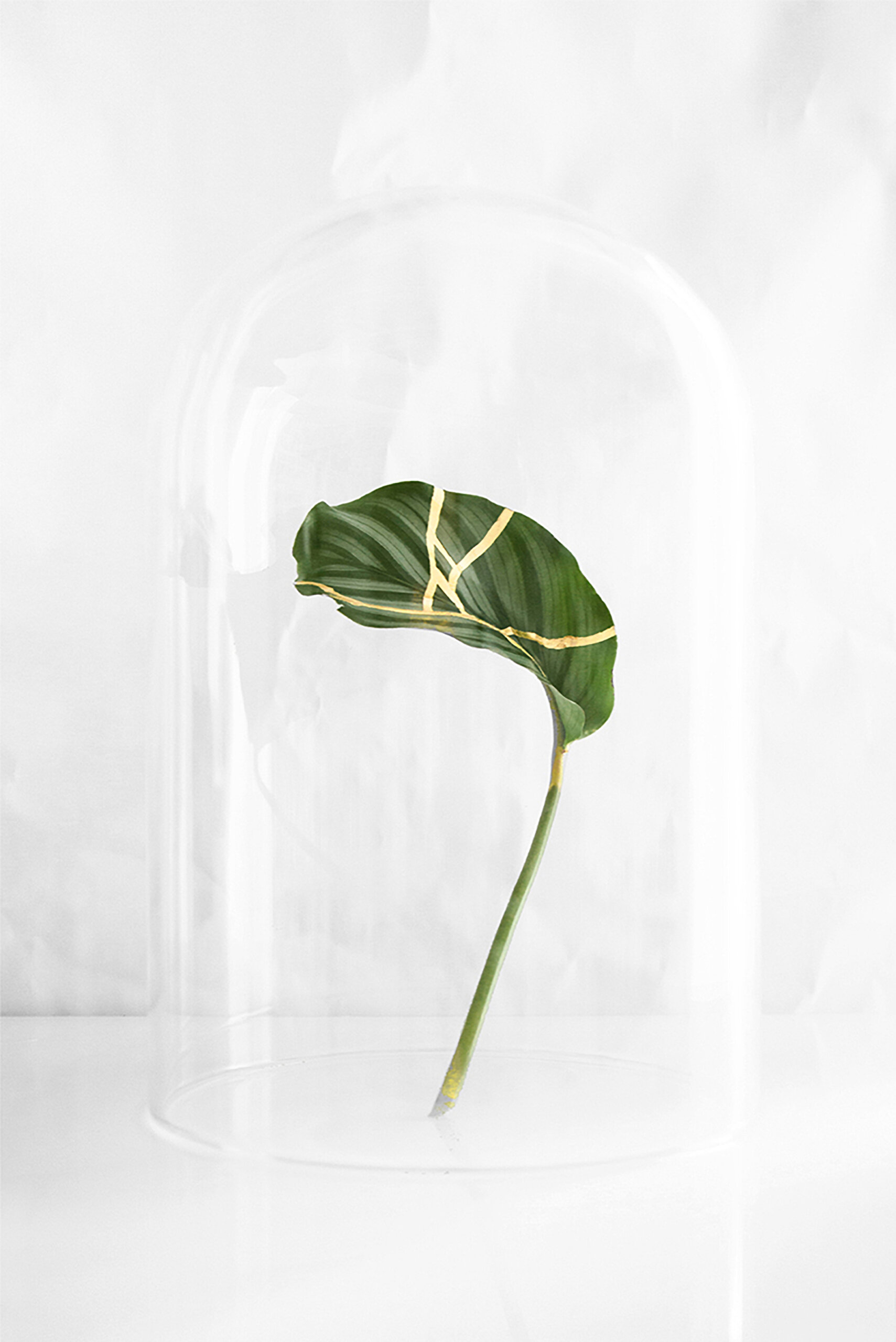 Florence Di Benedetto