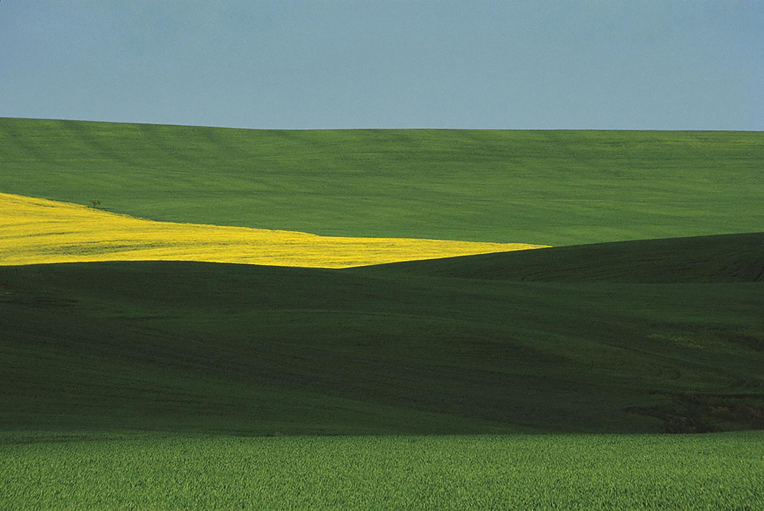 Franco Fontana 