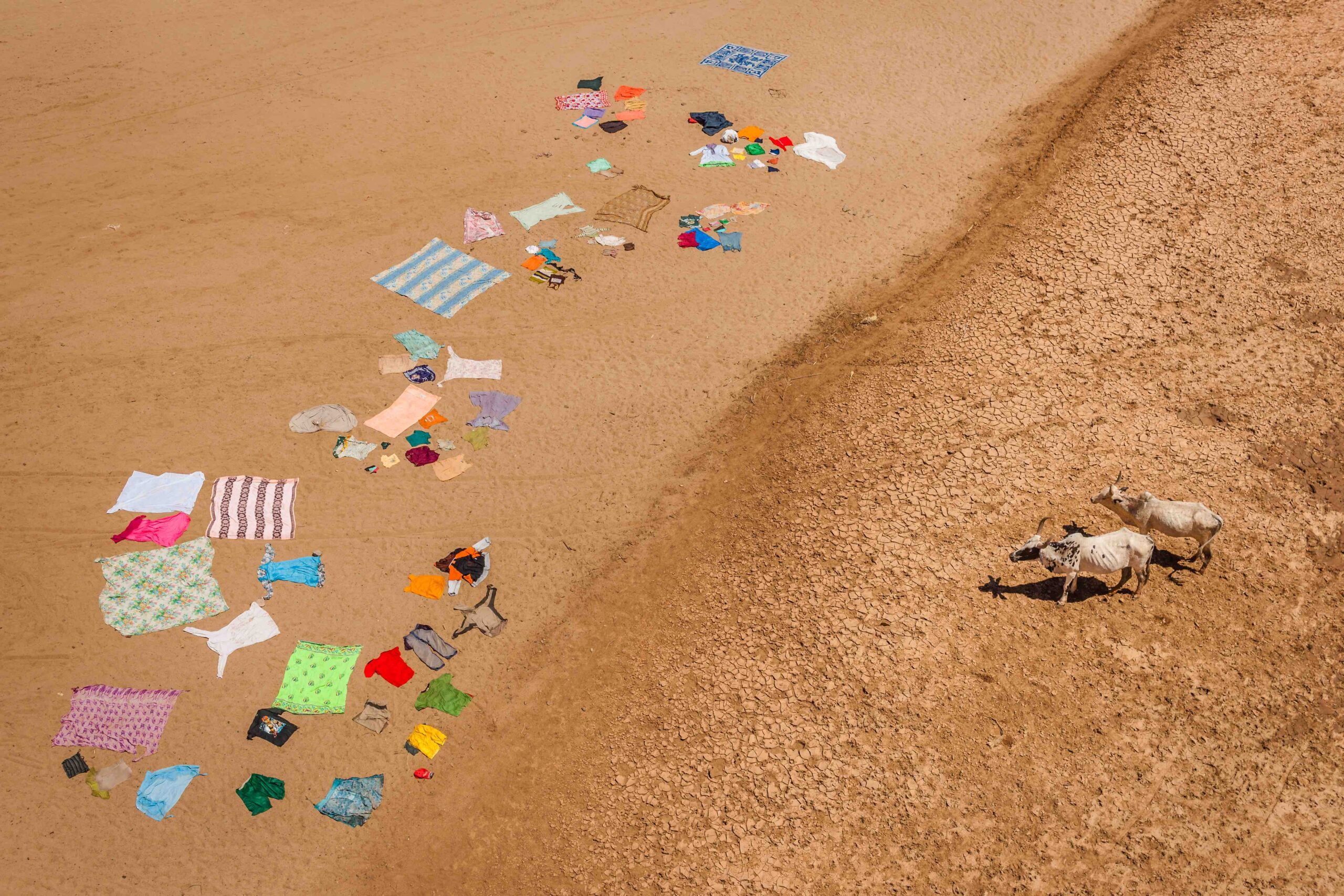 Cristina Mittermeier