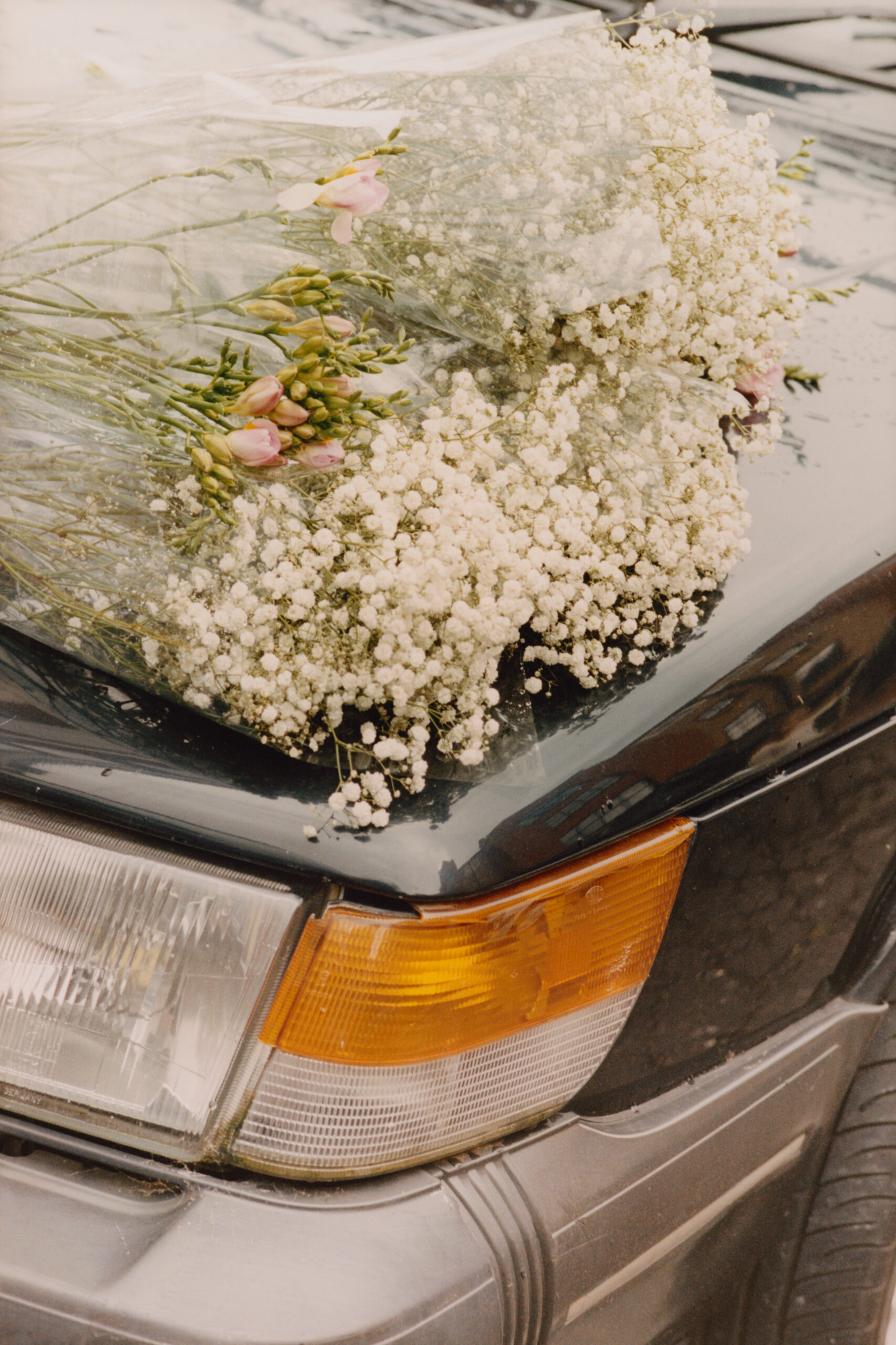 Jacob Lillis, Flowers and Cars