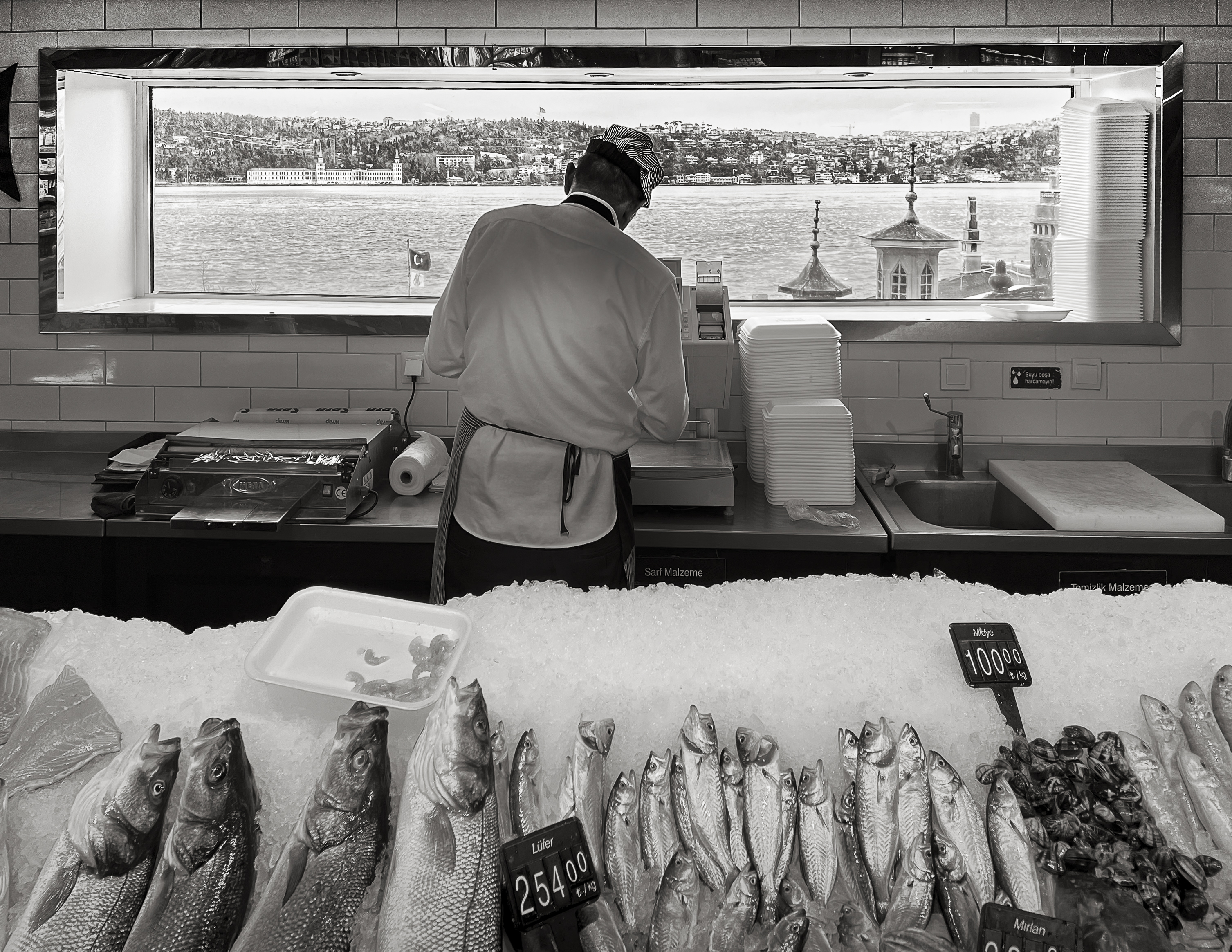 Annette Louise Solakoglu