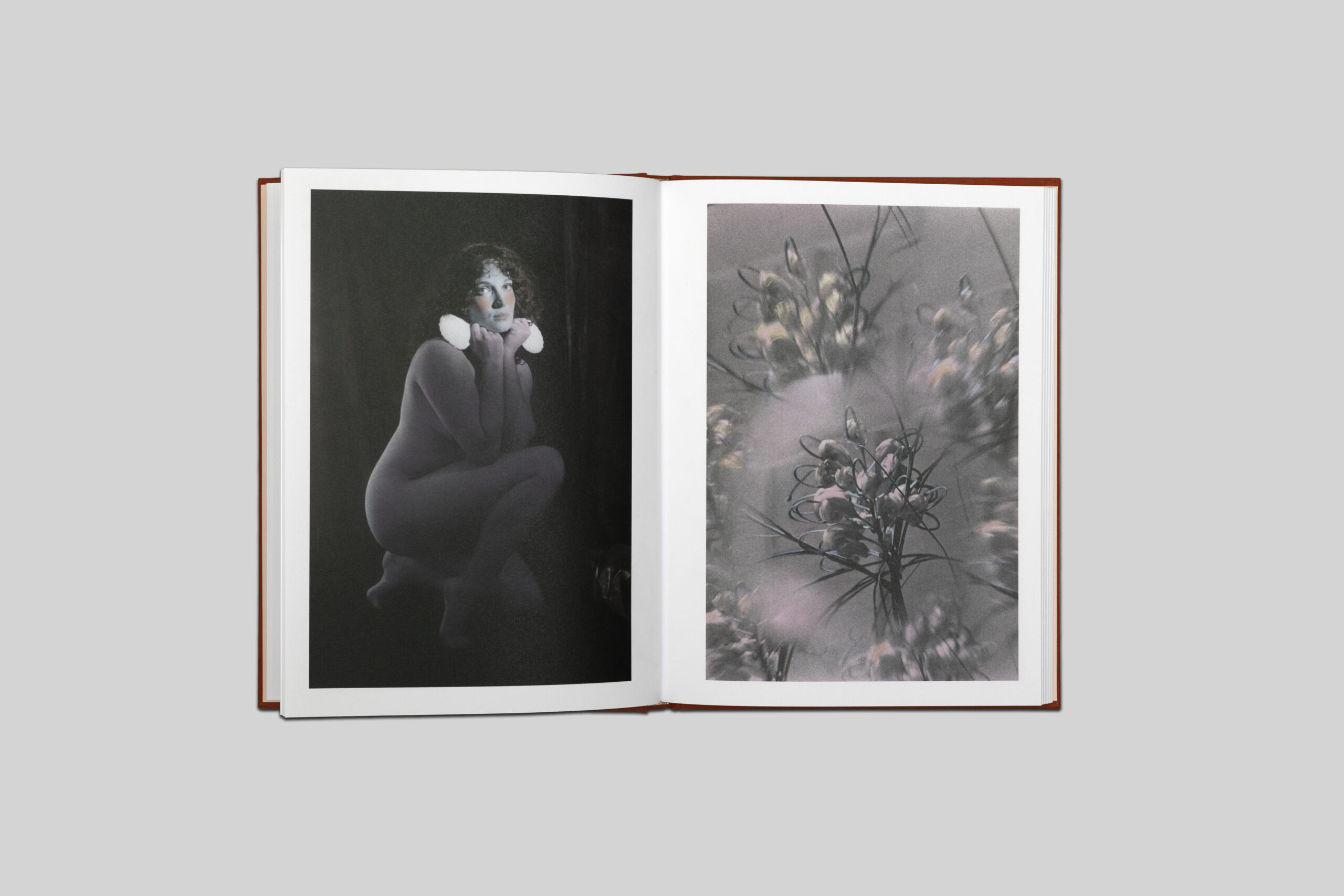 Eloïse Labarbe-Lafon