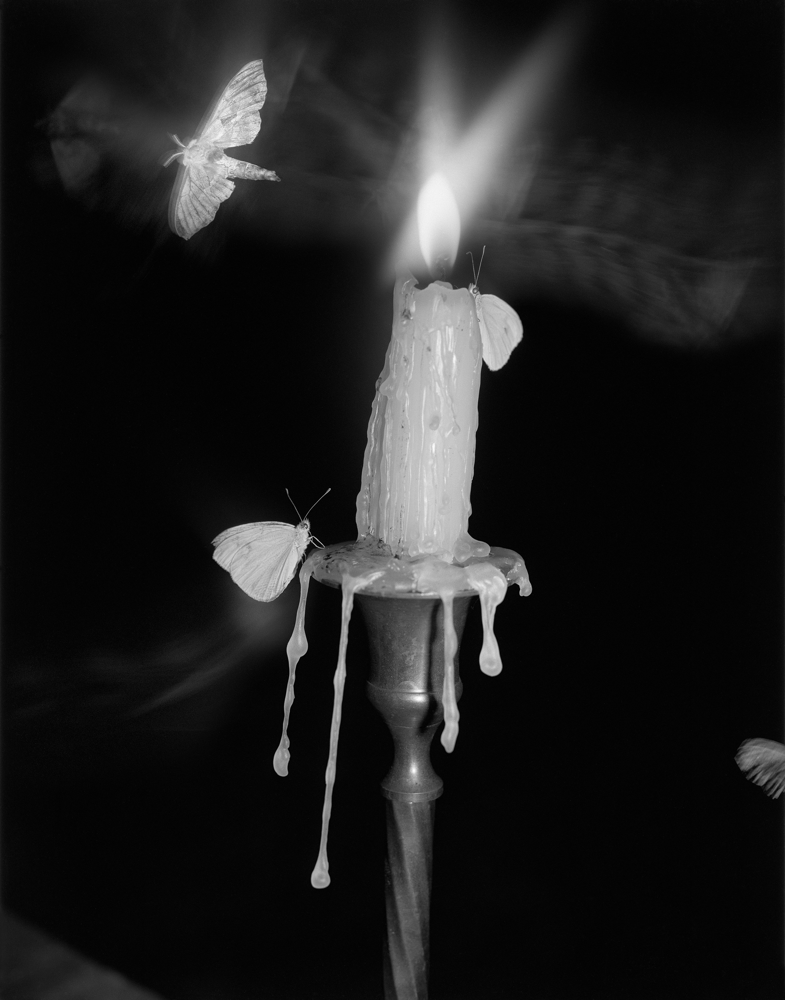 Pia Paulina Guilmoth