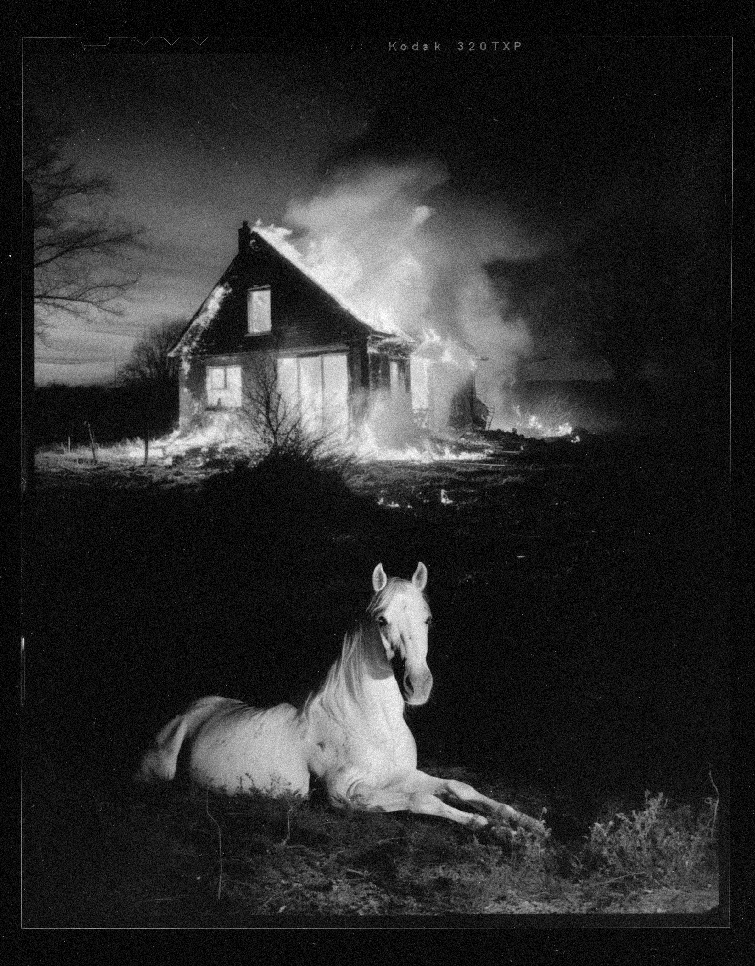 Pia Paulina Guilmoth