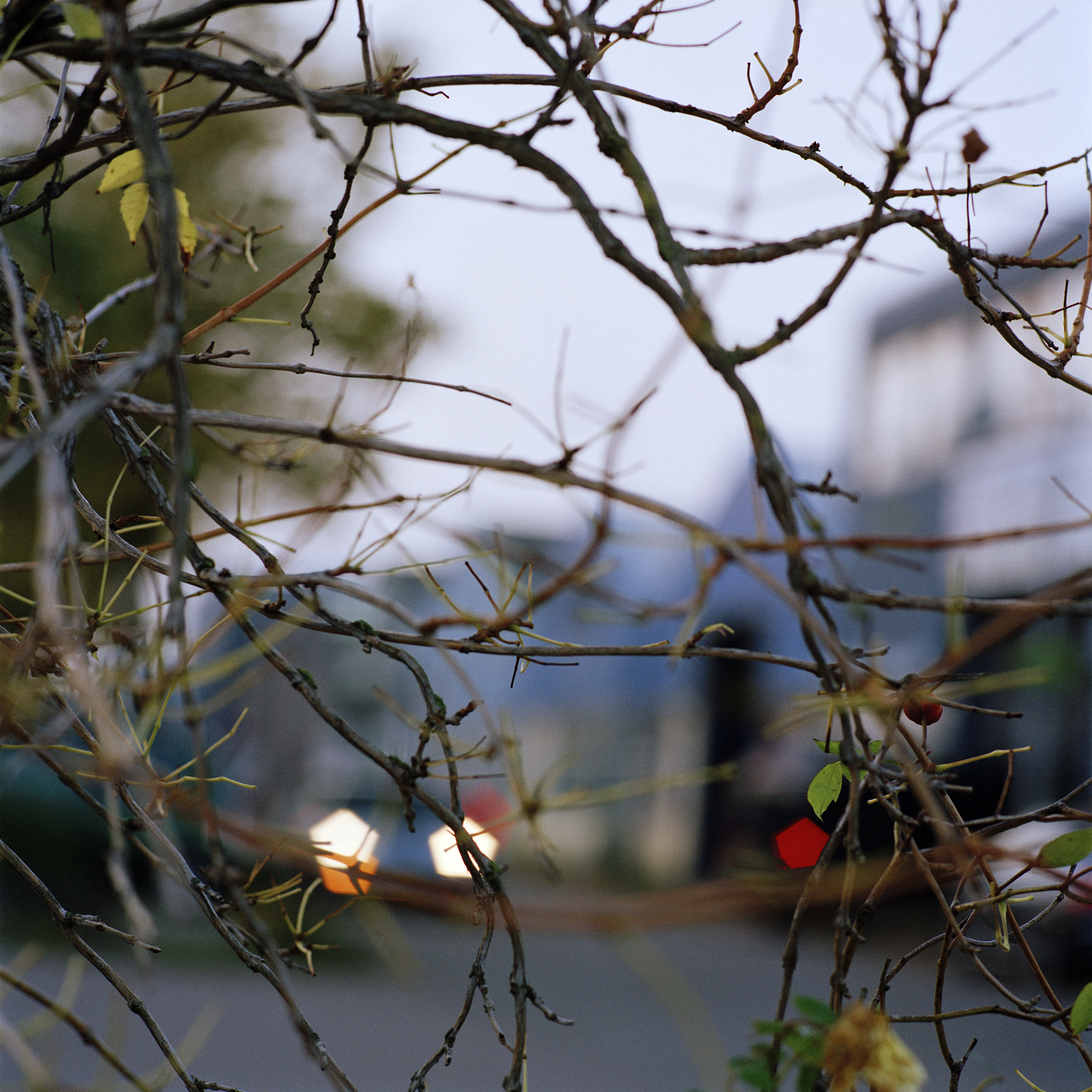 Jacquie Maria Wessels